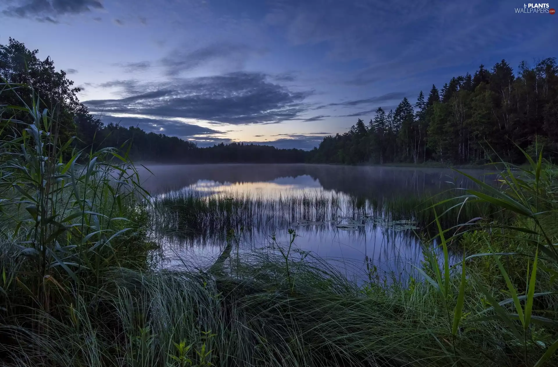Sky, lake, reflection