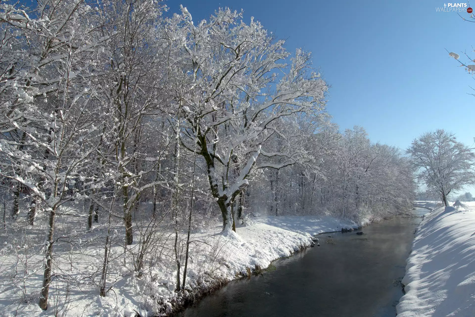trees, winter, blue, Sky, viewes, River