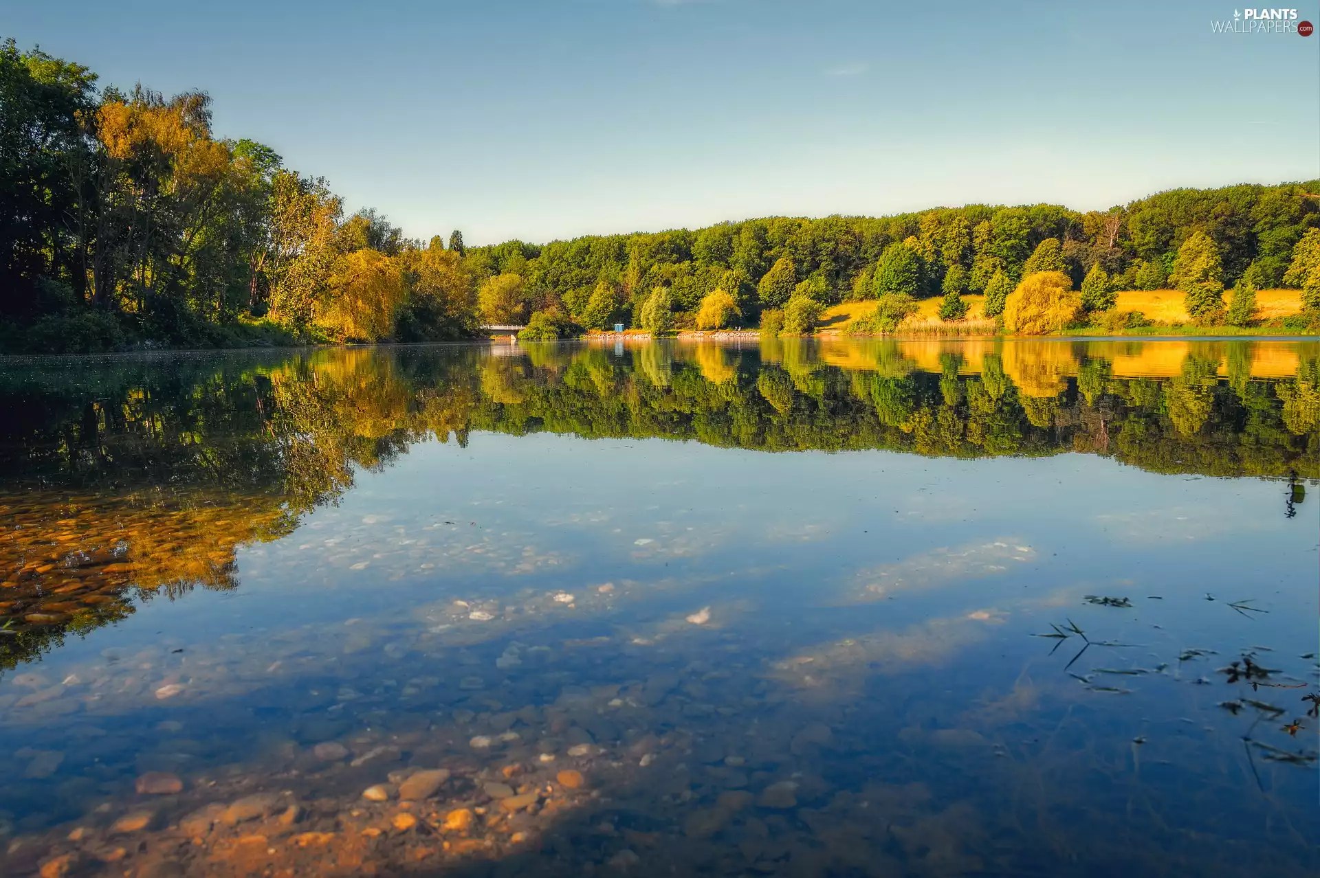 Bush, Sky, trees, viewes, lake