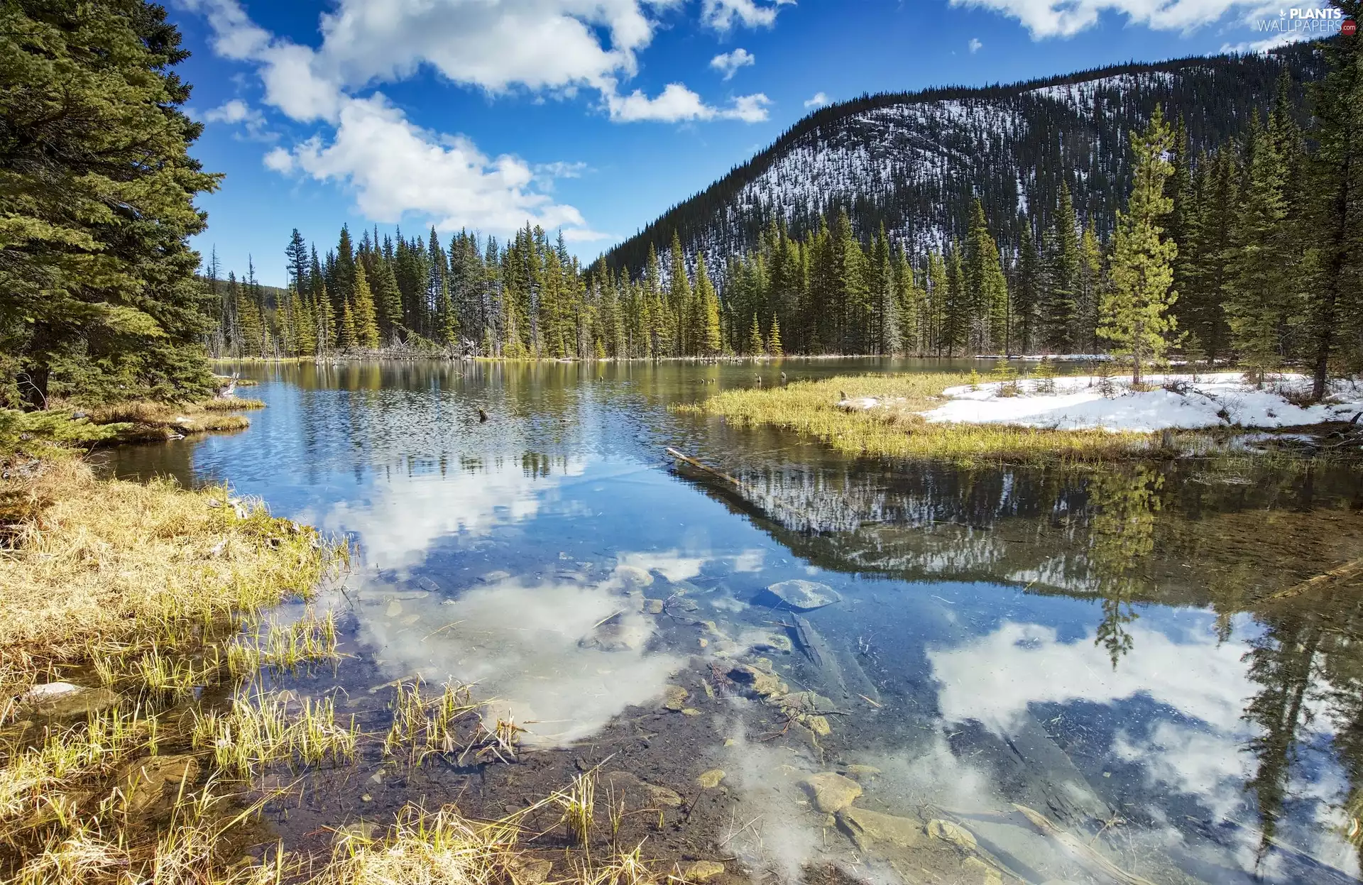 viewes, lake, Mountains, Sky, woods, trees