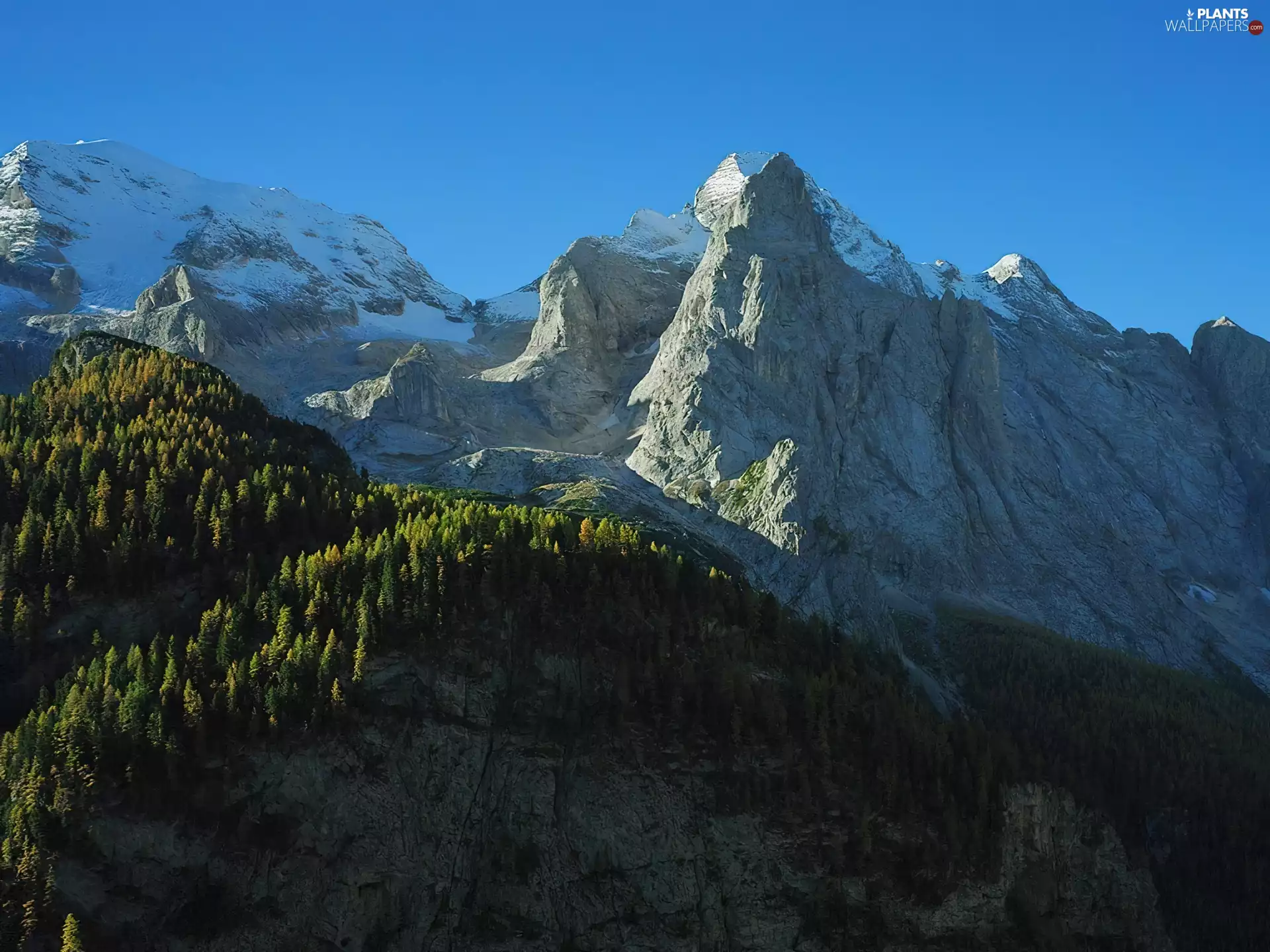Sky, Mountains, trees