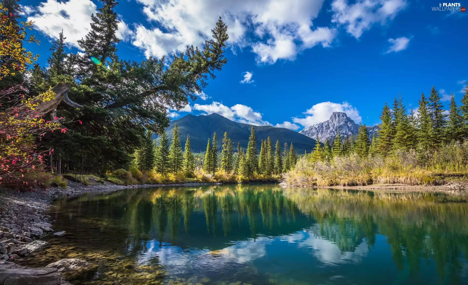 Mountains, Sky, trees, viewes, River