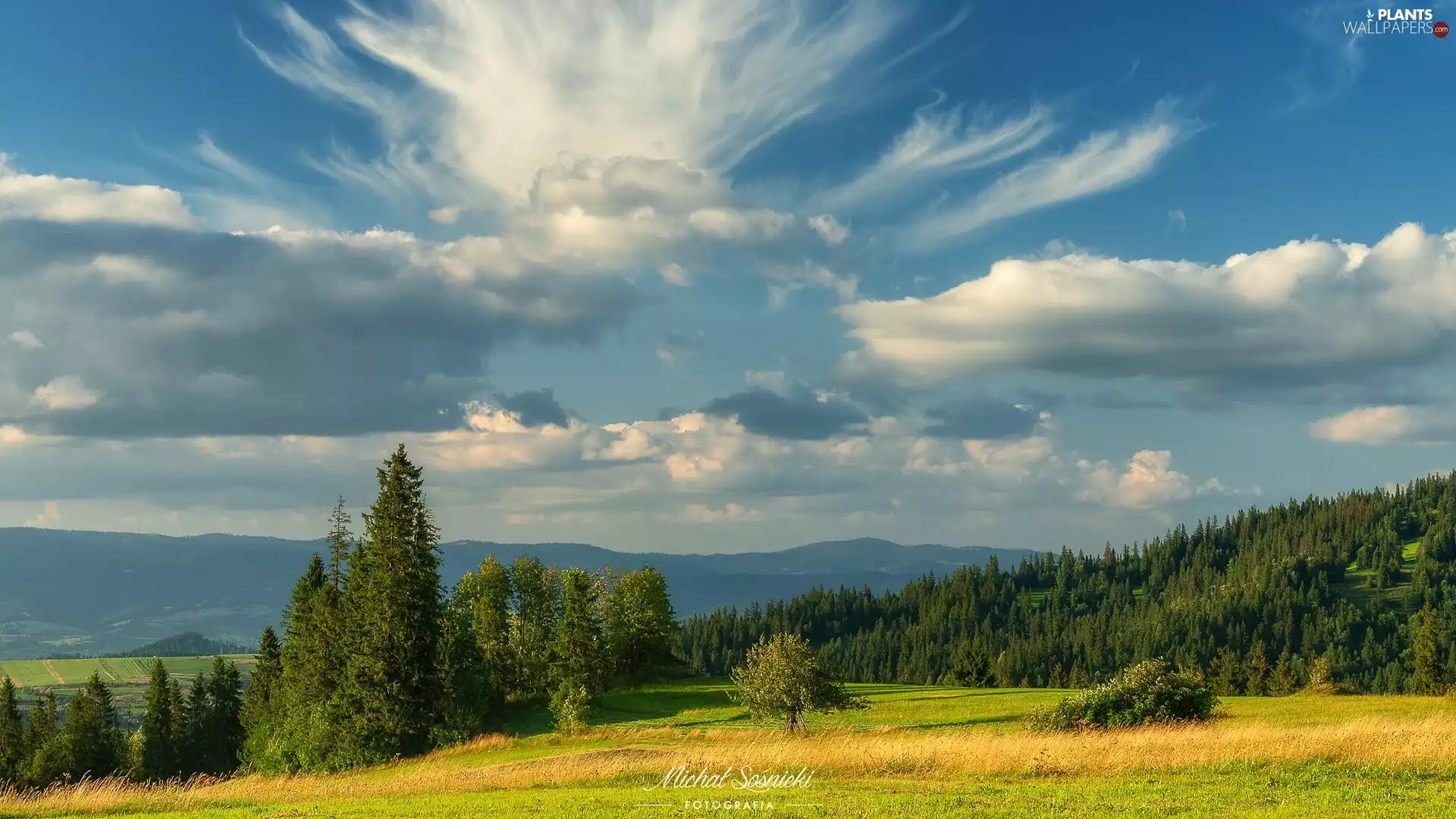 clouds, woods, viewes, Sky, Mountains, trees, Field
