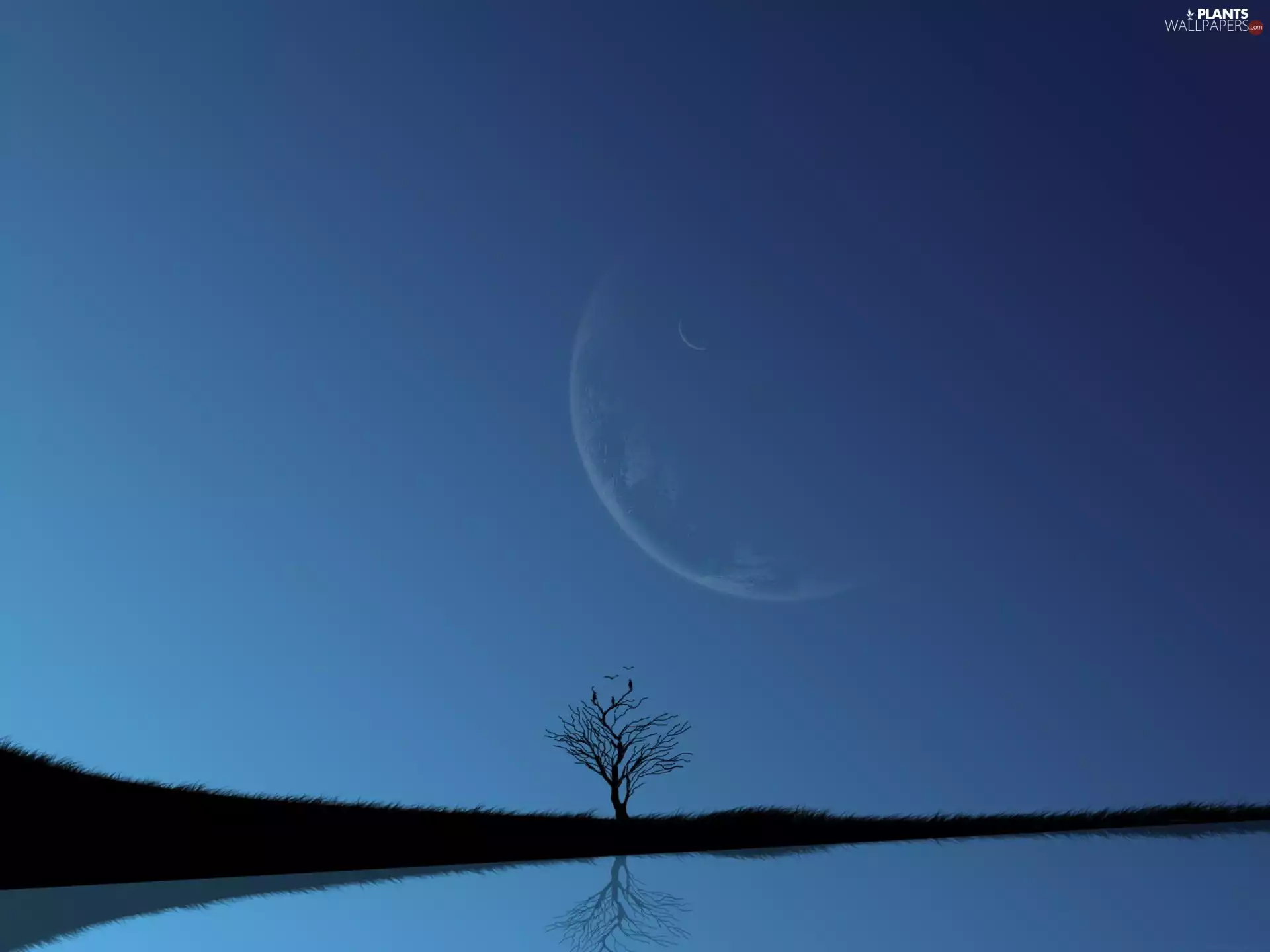 water, moon, trees, Sky