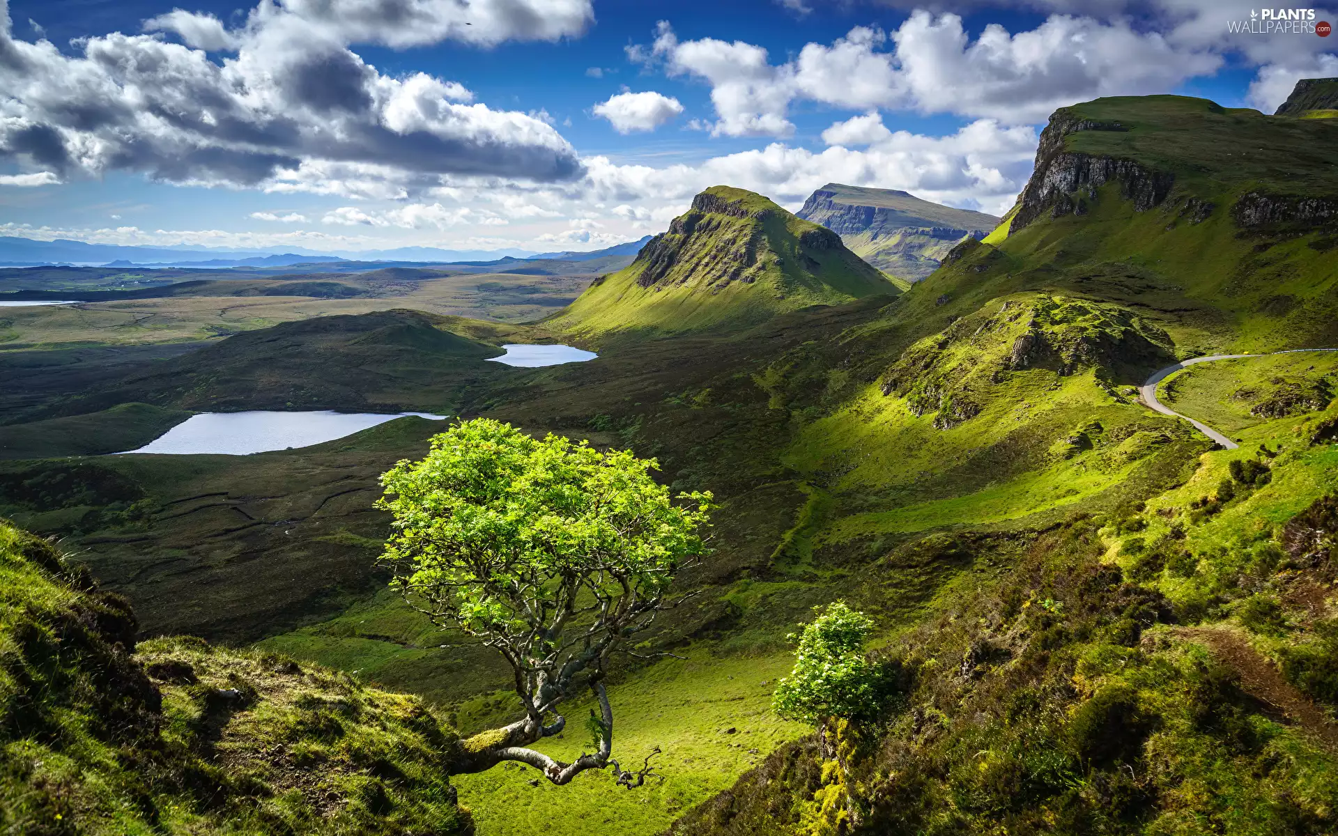 lakes, Mountains, green ones, trees, Quiraing, Scotland, Isle of Skye, landslide, clouds