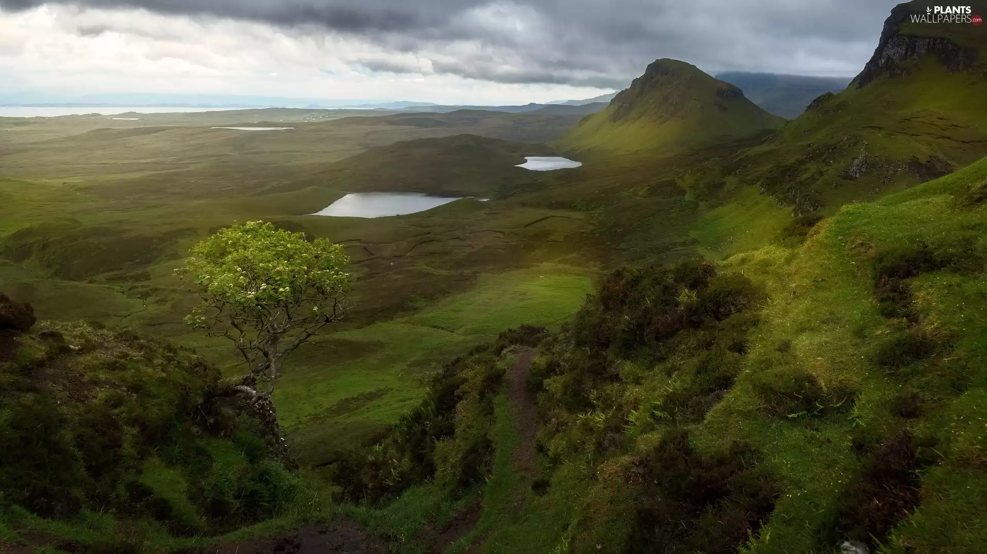 lakes, The Hills, VEGETATION, trees, Quiraing, Scotland, Isle of Skye, landslide, clouds
