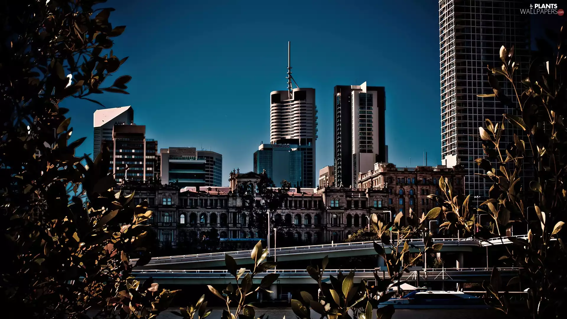 skyscraper, Town, architecture