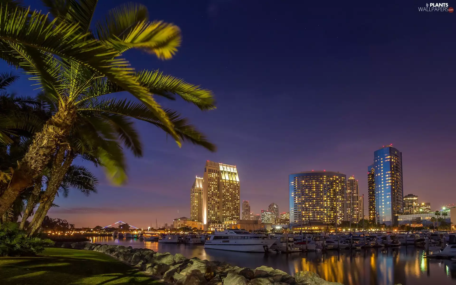 The United States, skyscrapers, Palms, San Diego