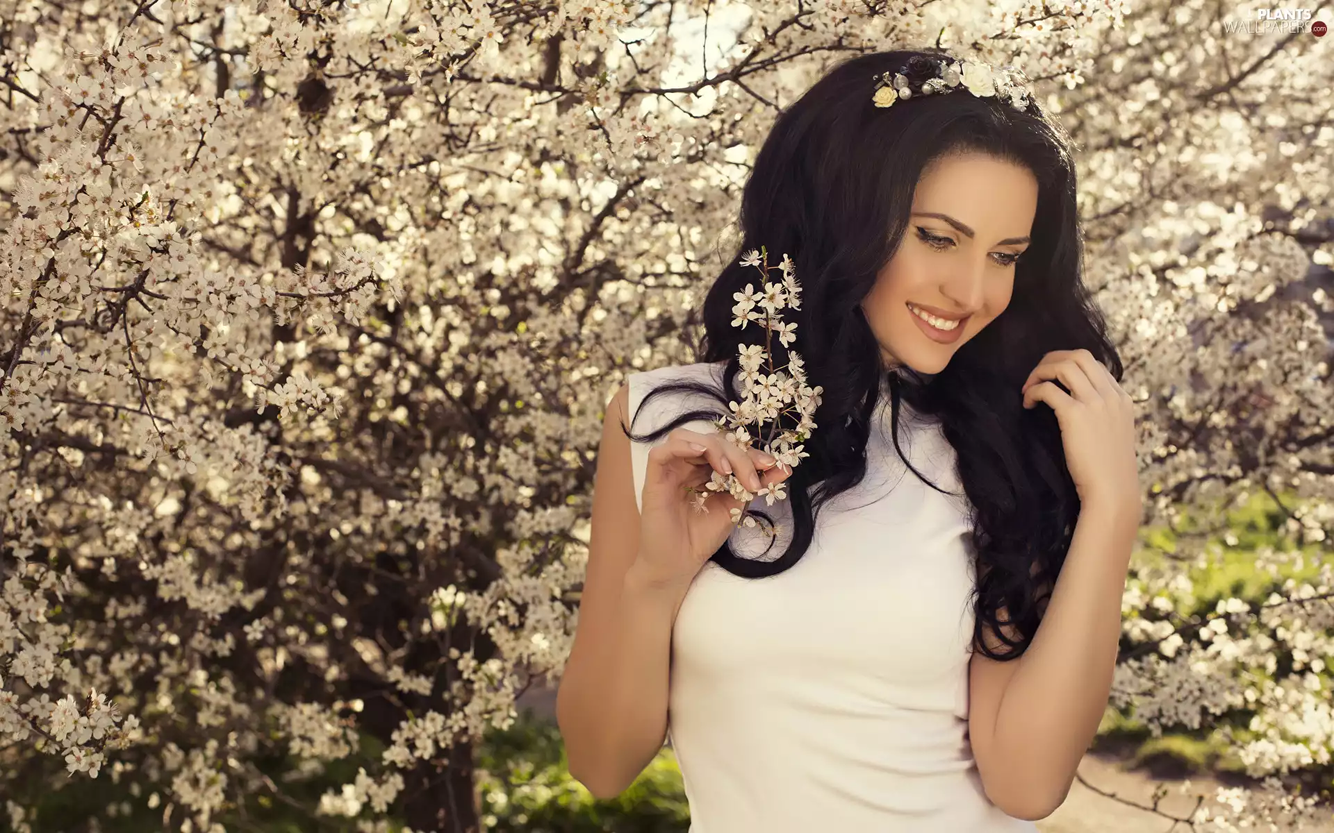Flowers, Fruit Tree, Smile, longhaired, Women, Twigs