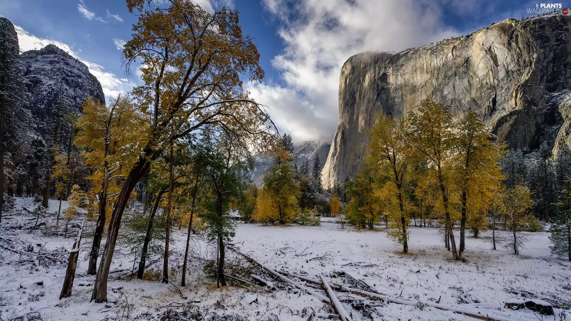 El Capitan, autumn, trees, Yellow, snow, The United States, State of California, mount, Mountains, Yosemite National Park, viewes
