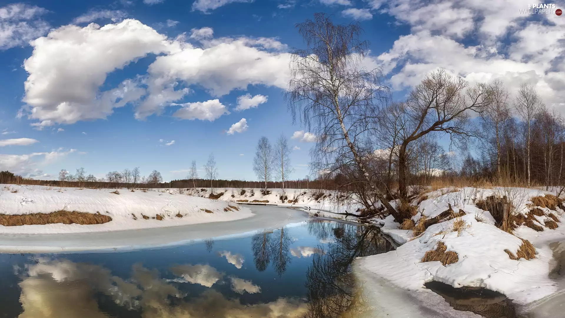 trees, River, birch, snow, winter, viewes, clouds