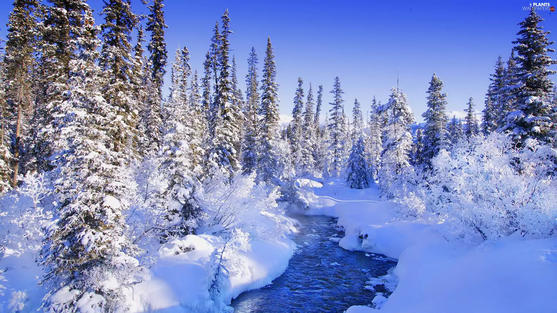 Snowy, winter, viewes, snow, trees, brook