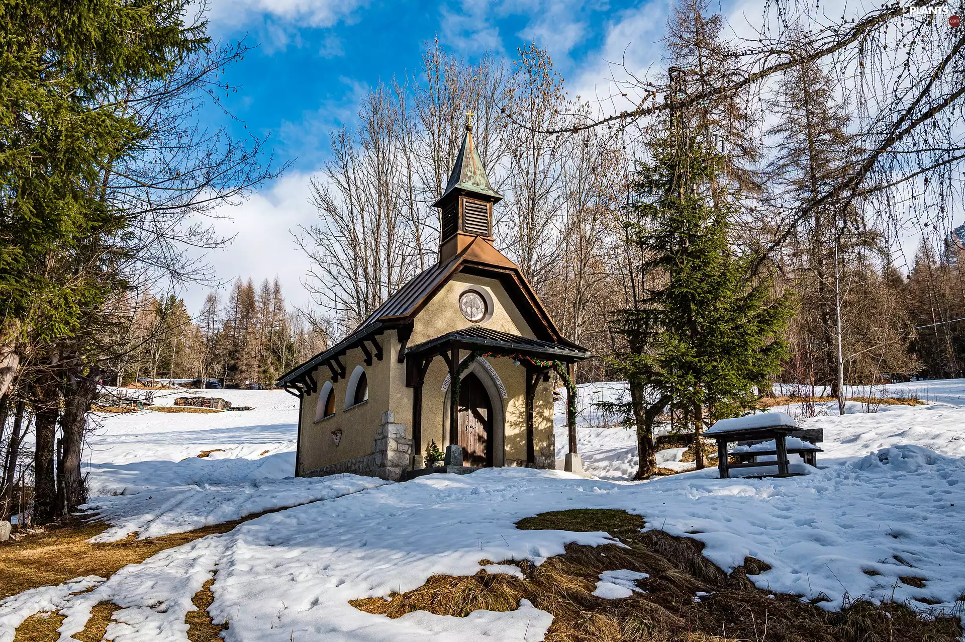 viewes, snow, chapel, trees, winter
