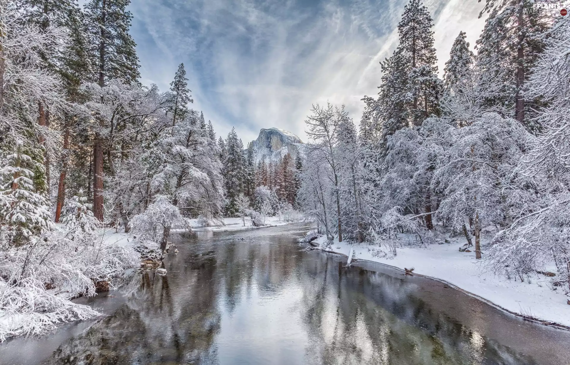 White frost, clouds, winter, trees, snow, California, woods, Yosemite National Park, The United States, viewes, Mountains, Merced River
