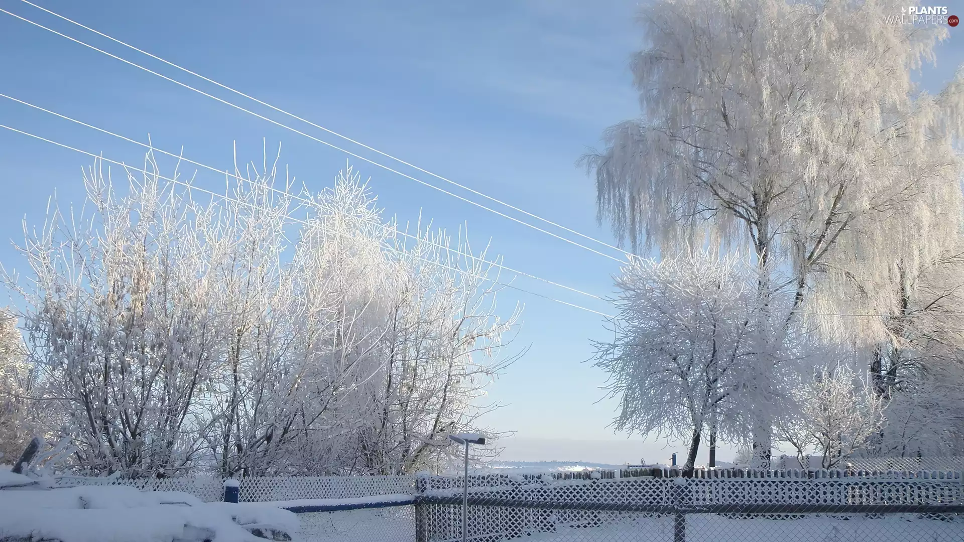 Snowy, winter, viewes, snow, trees, fence