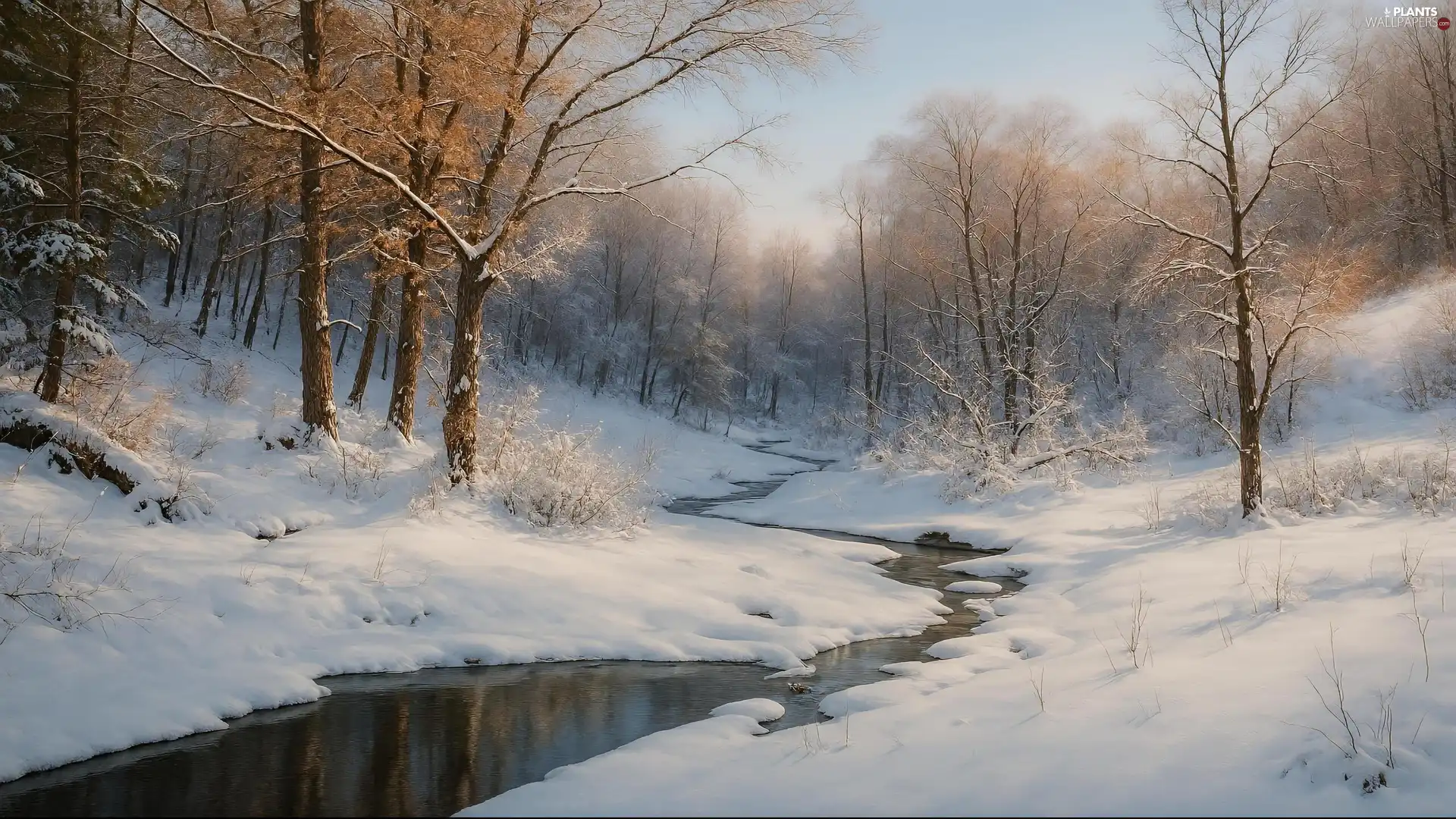 trees, winter, flux, snow, viewes, forest