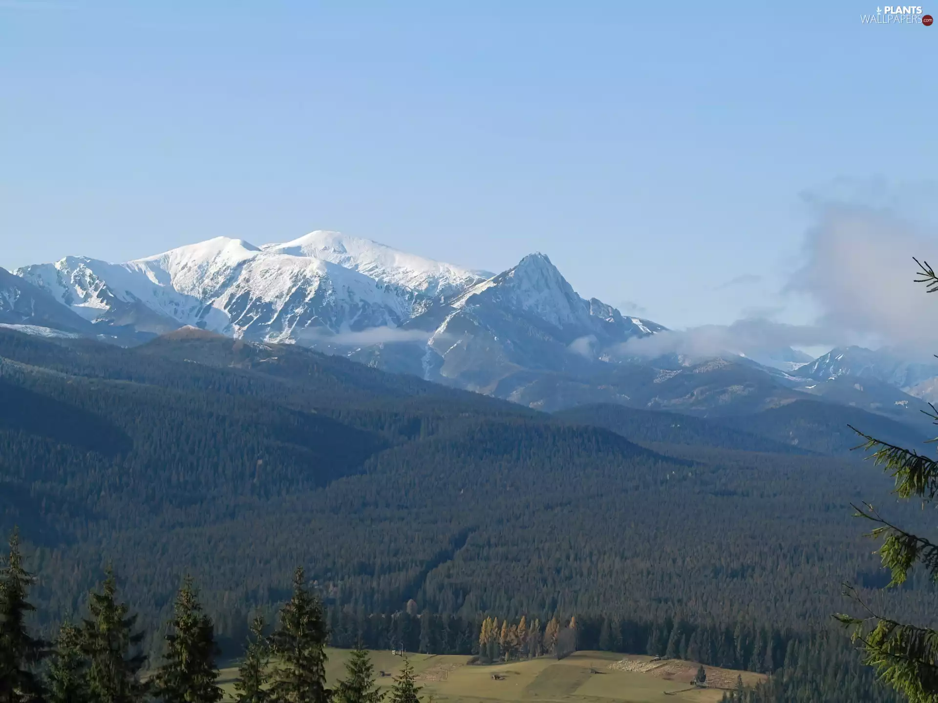trees, Mountains, Sky, snow, Cloud, forest