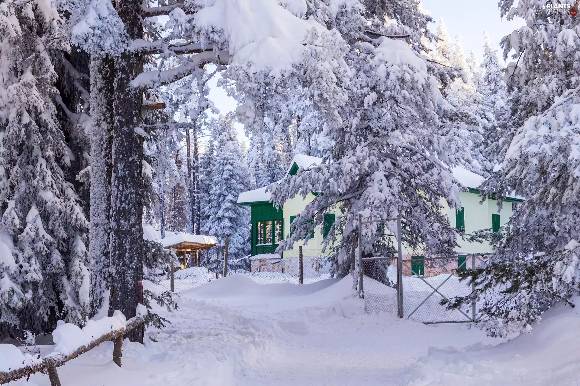 Way, winter, viewes, snow, trees, house