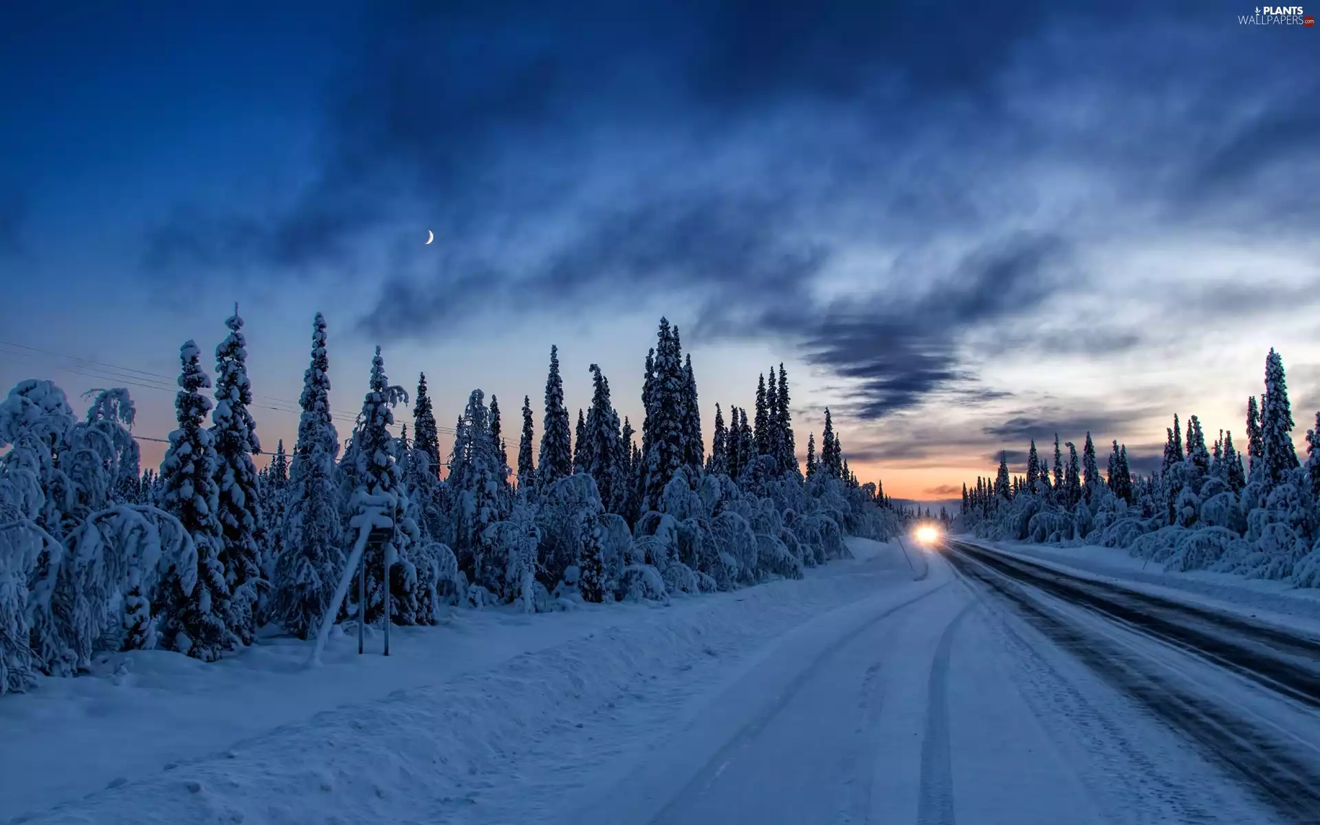snow, winter, Way, trees, light, car, moon, Sky, viewes
