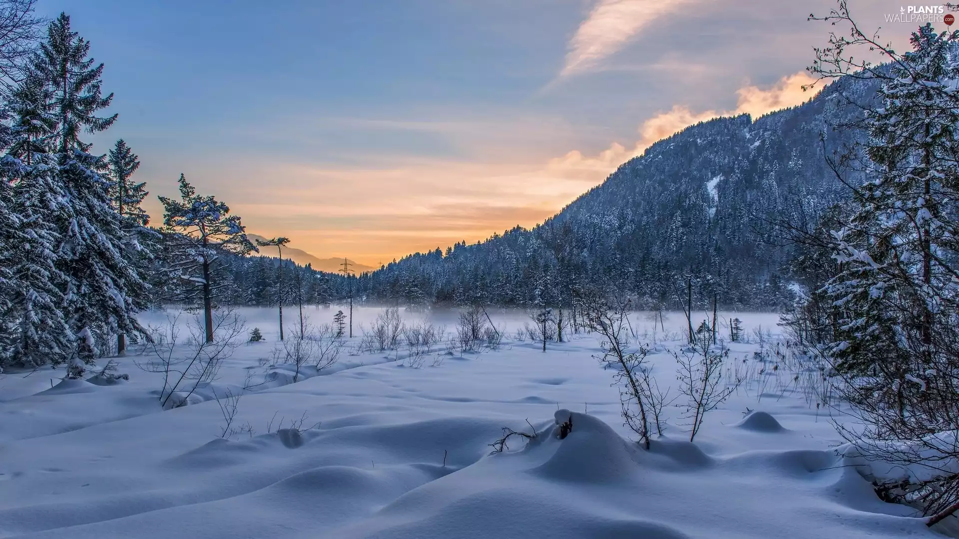 viewes, snow, Mountains, trees, winter
