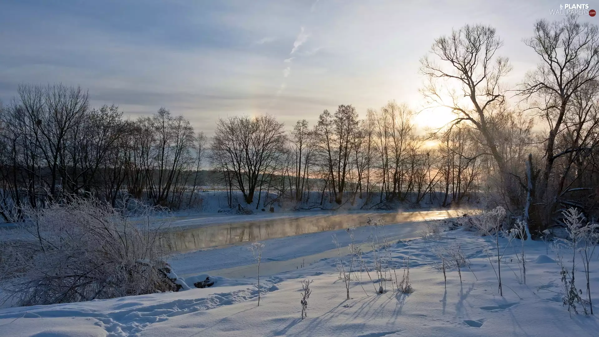 trees, winter, Bush, snow, viewes, River