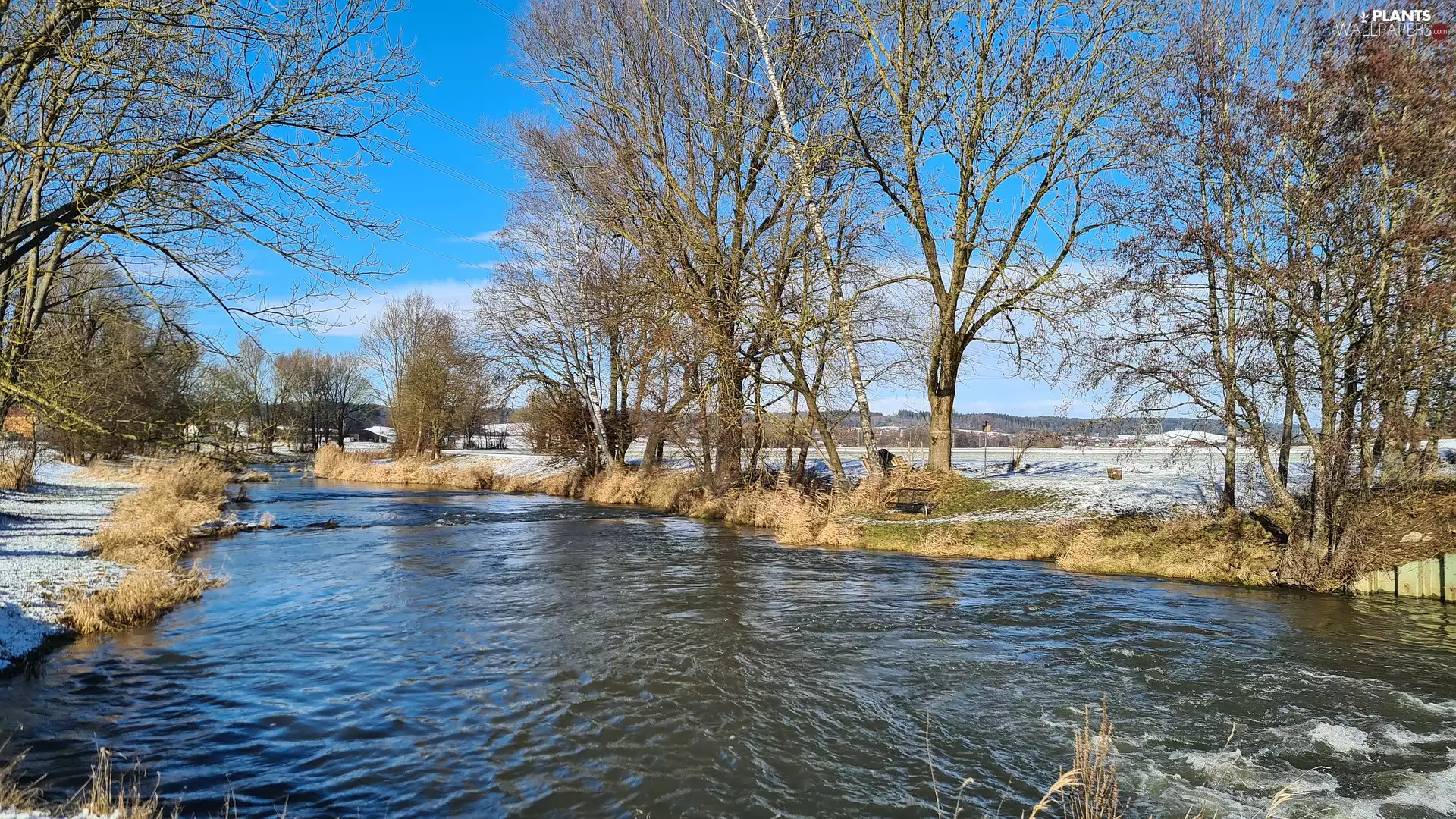 leafless, winter, viewes, snow, trees, River