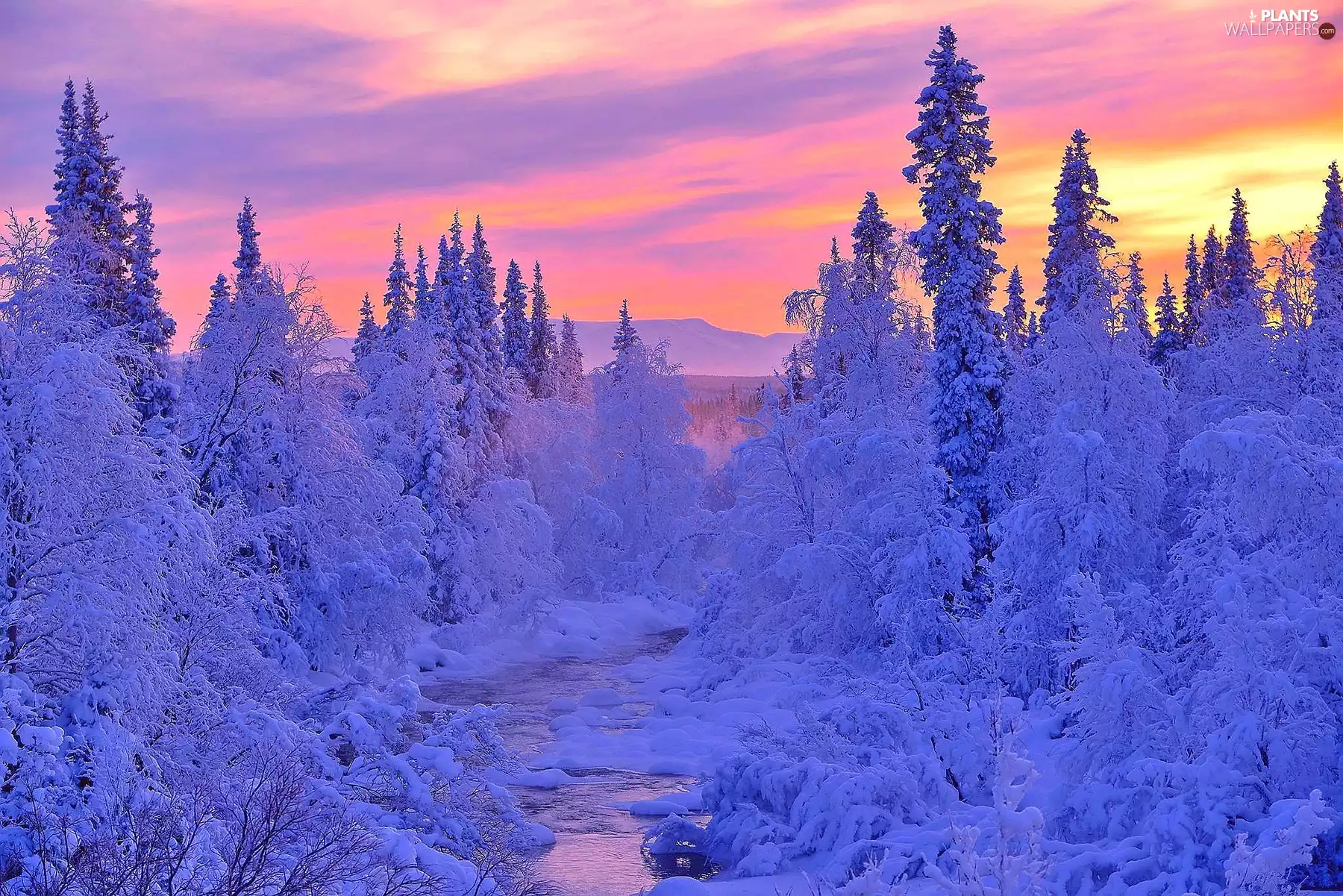 Sky, winter, viewes, snow, trees, River