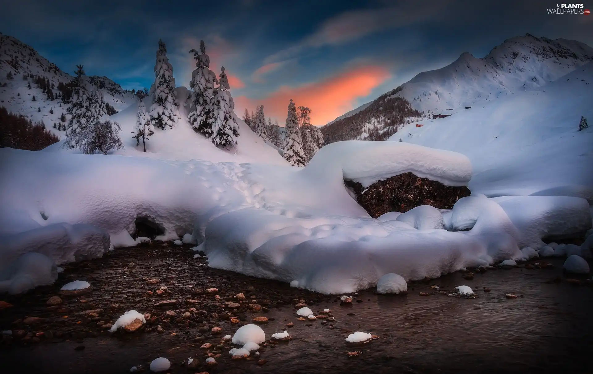 trees, winter, River, Alps Mountains, Italy, viewes, snow