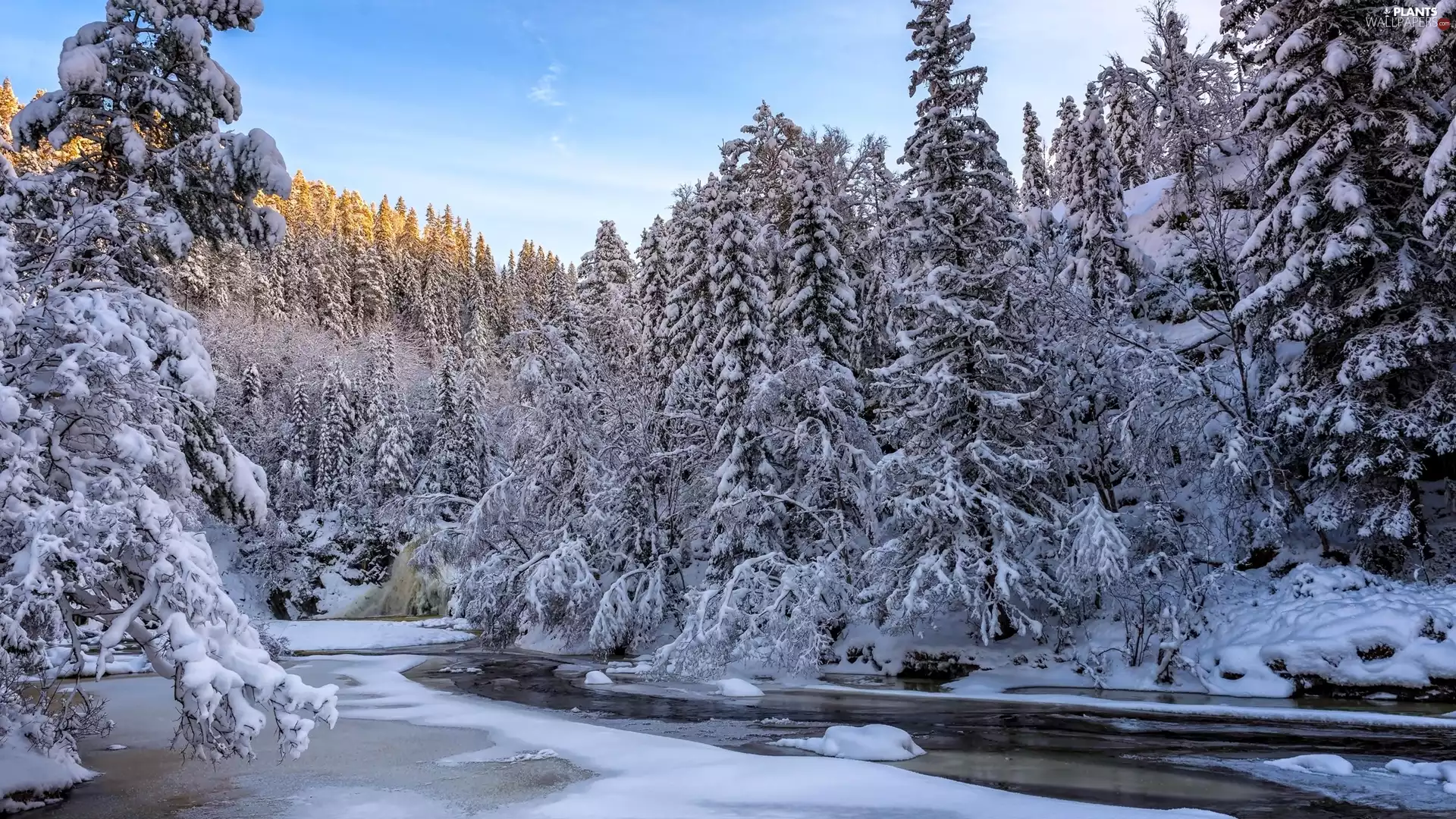 viewes, snow, River, trees, winter