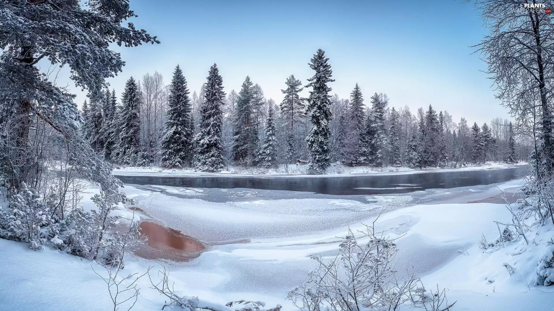 viewes, snow, River, trees, winter