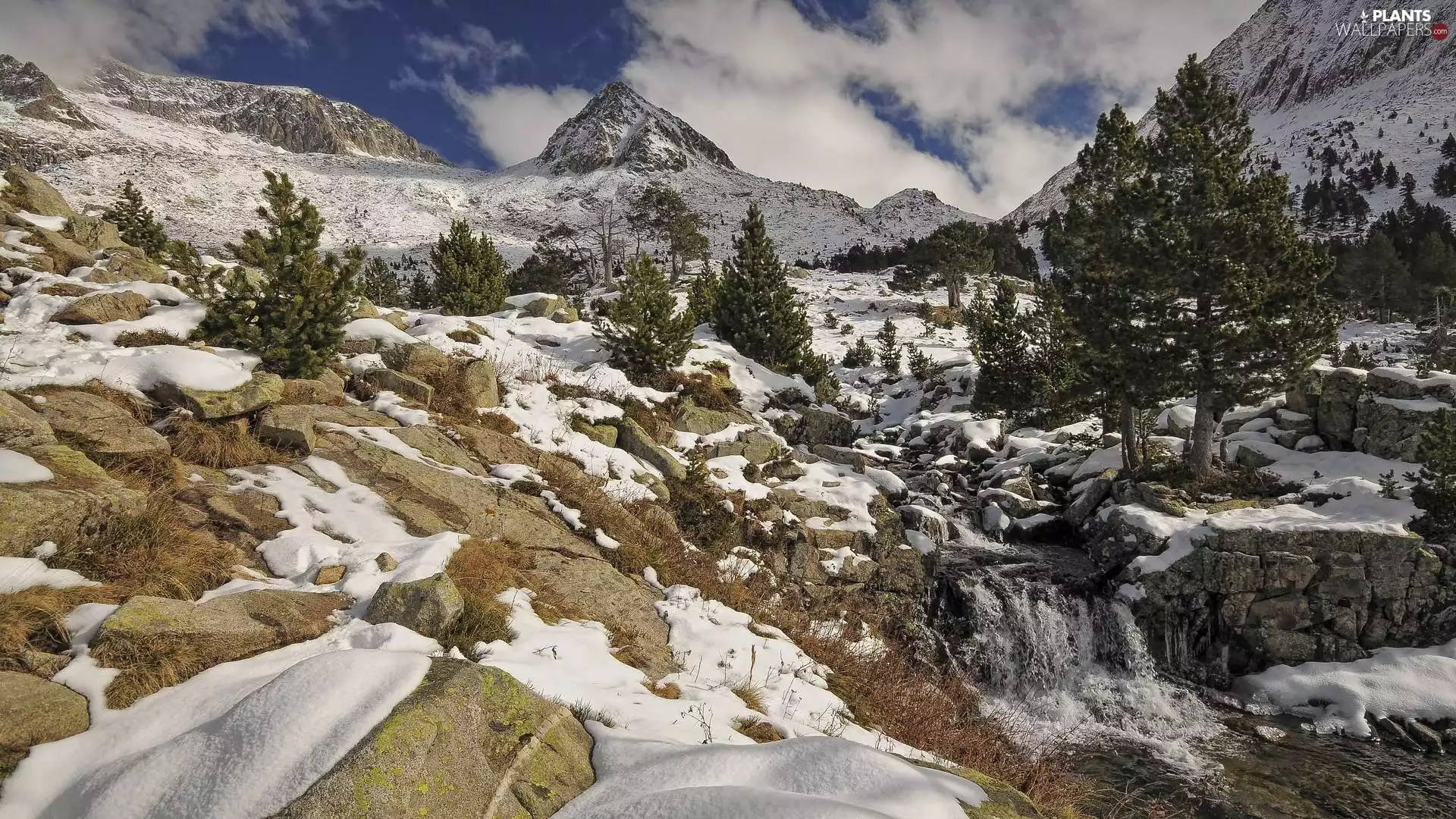 viewes, snow, rocks, trees, Mountains