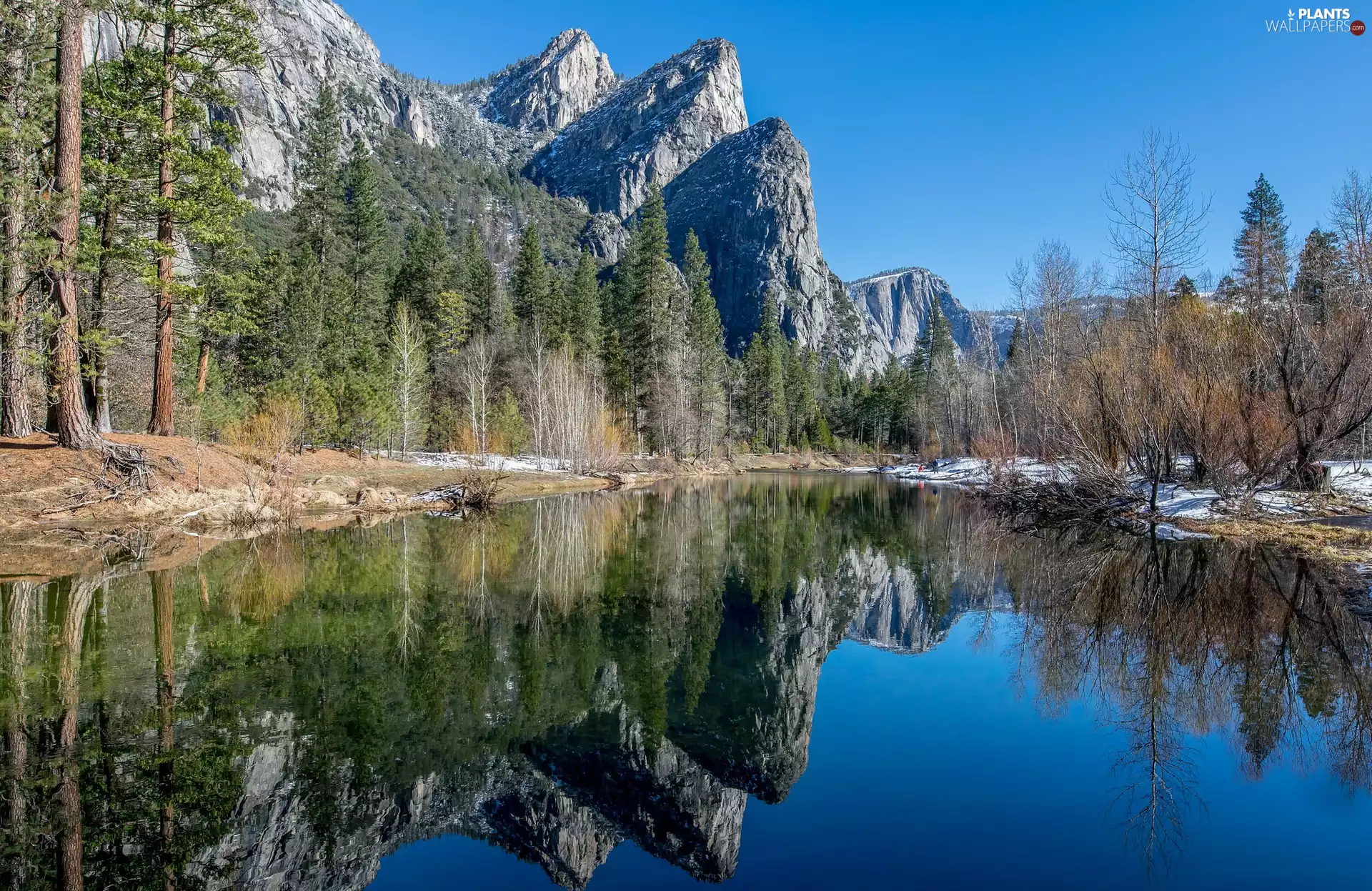 trees, lake, Spruces, snow, Mountains, viewes, reflection