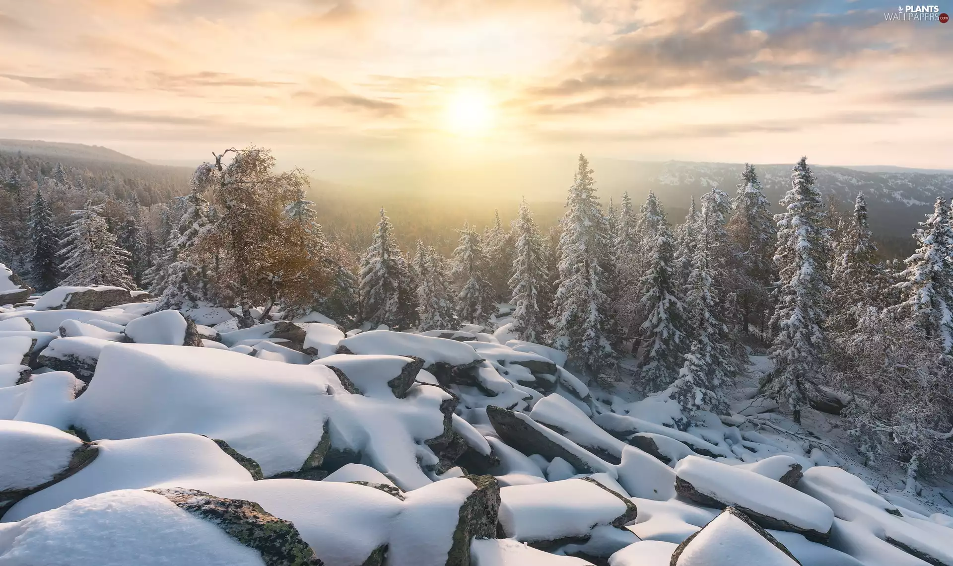 trees, winter, Spruces, viewes, Fog, Russia, South Ural, Stones, snow, sun, Mountains
