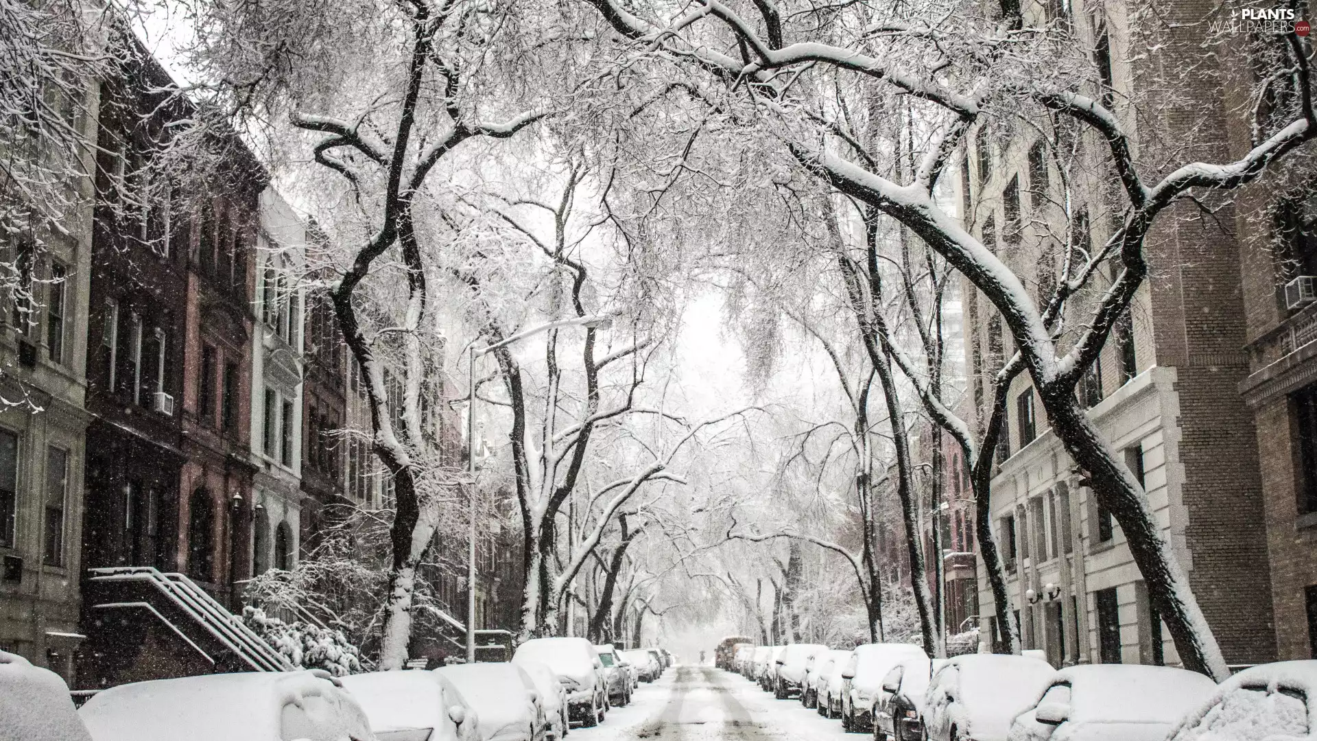 snow, winter, Houses, Snowy, trees, viewes, Street, Town, cars