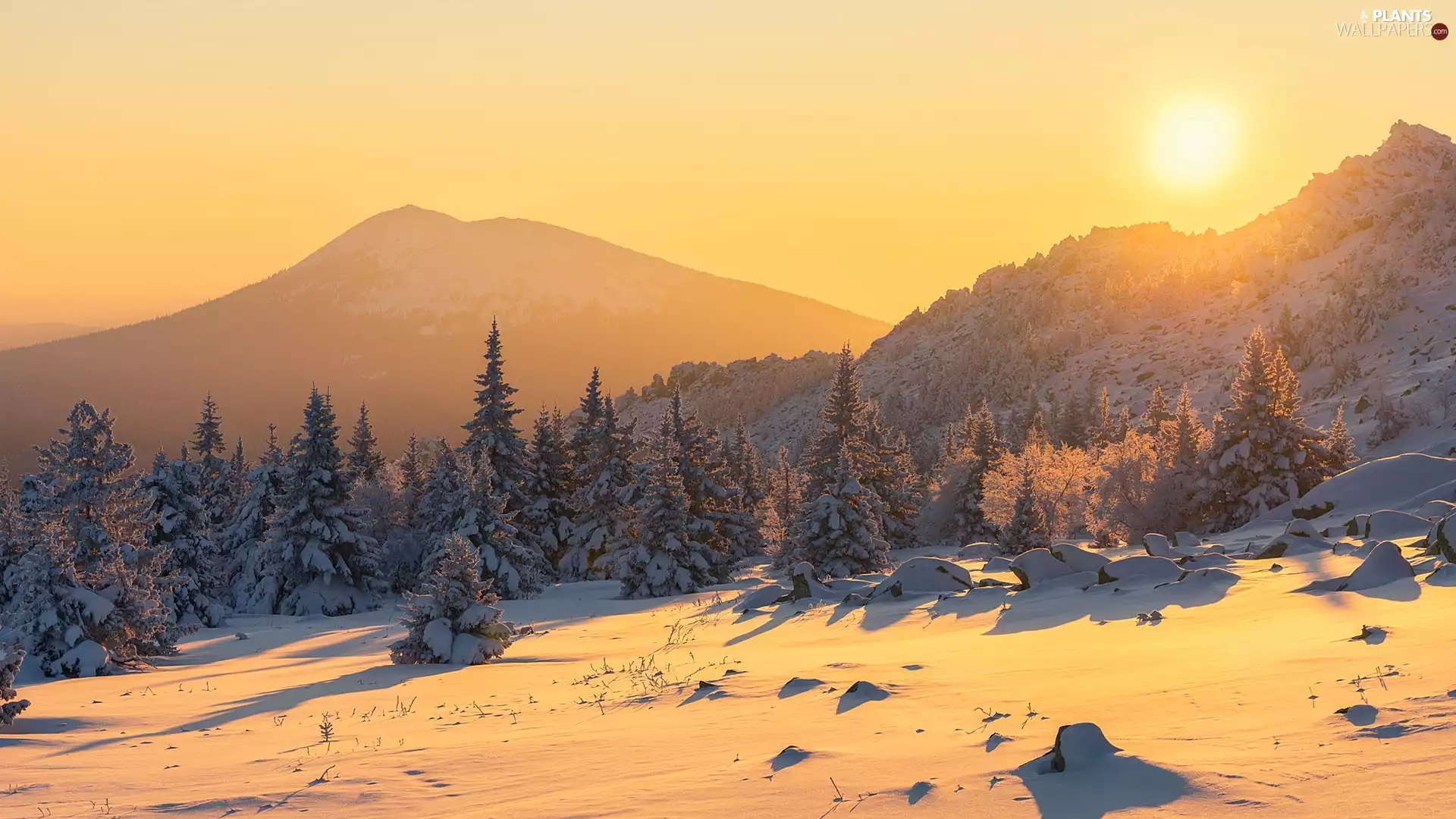 trees, viewes, Sunrise, winter, Fog, forest, Mountains, snow