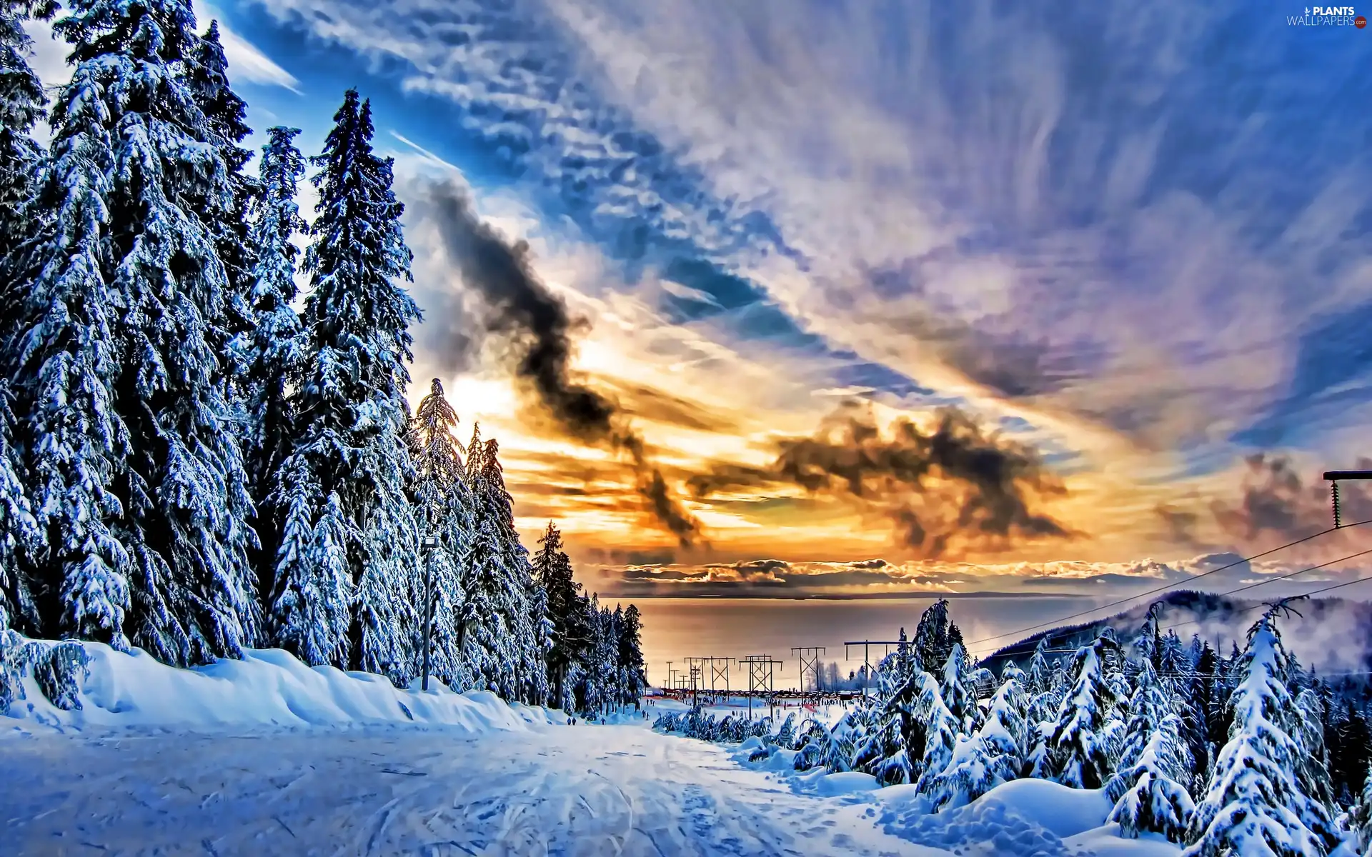 Great Sunsets, viewes, snow, trees