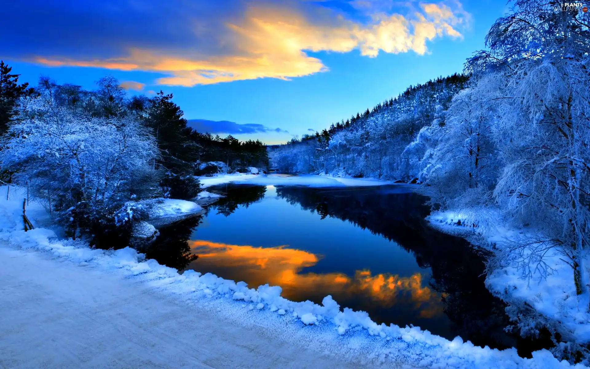 trees, lake, snow, viewes