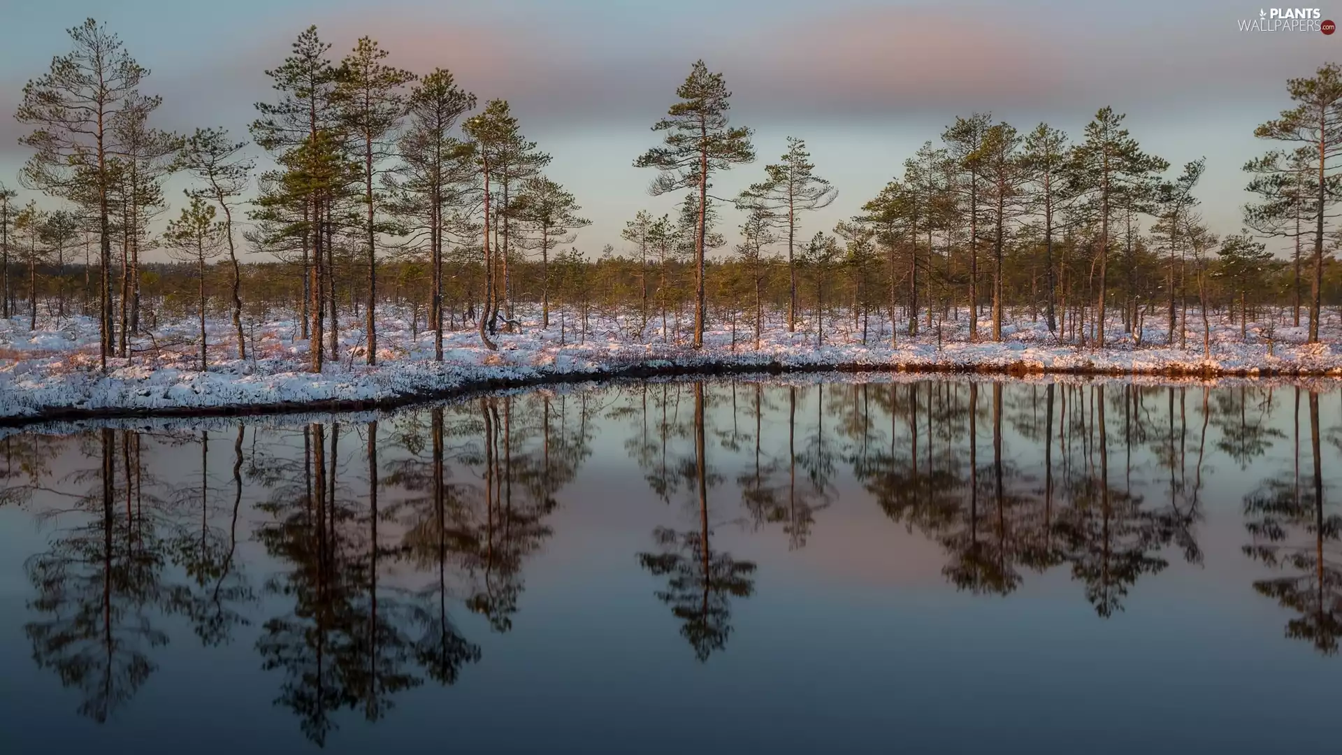 reflection, snow, trees, viewes, lake