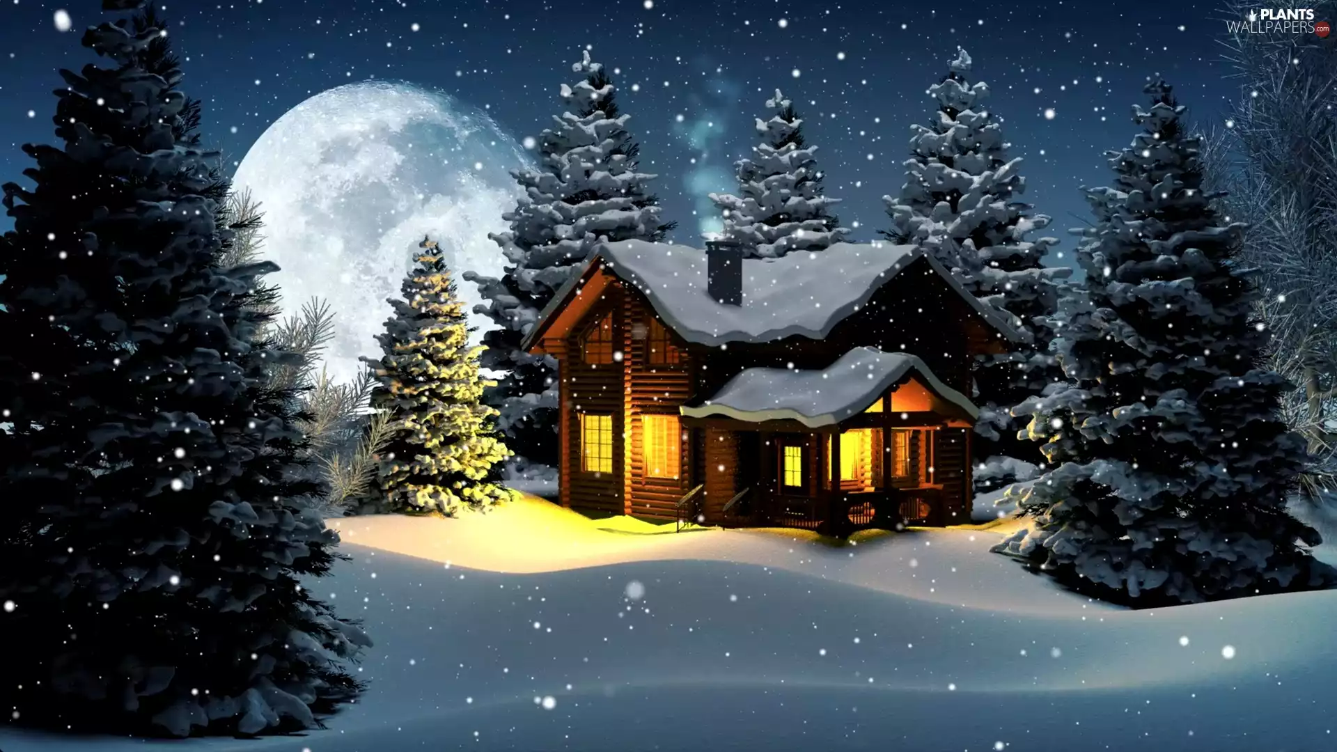viewes, winter, moon, snow, house, trees