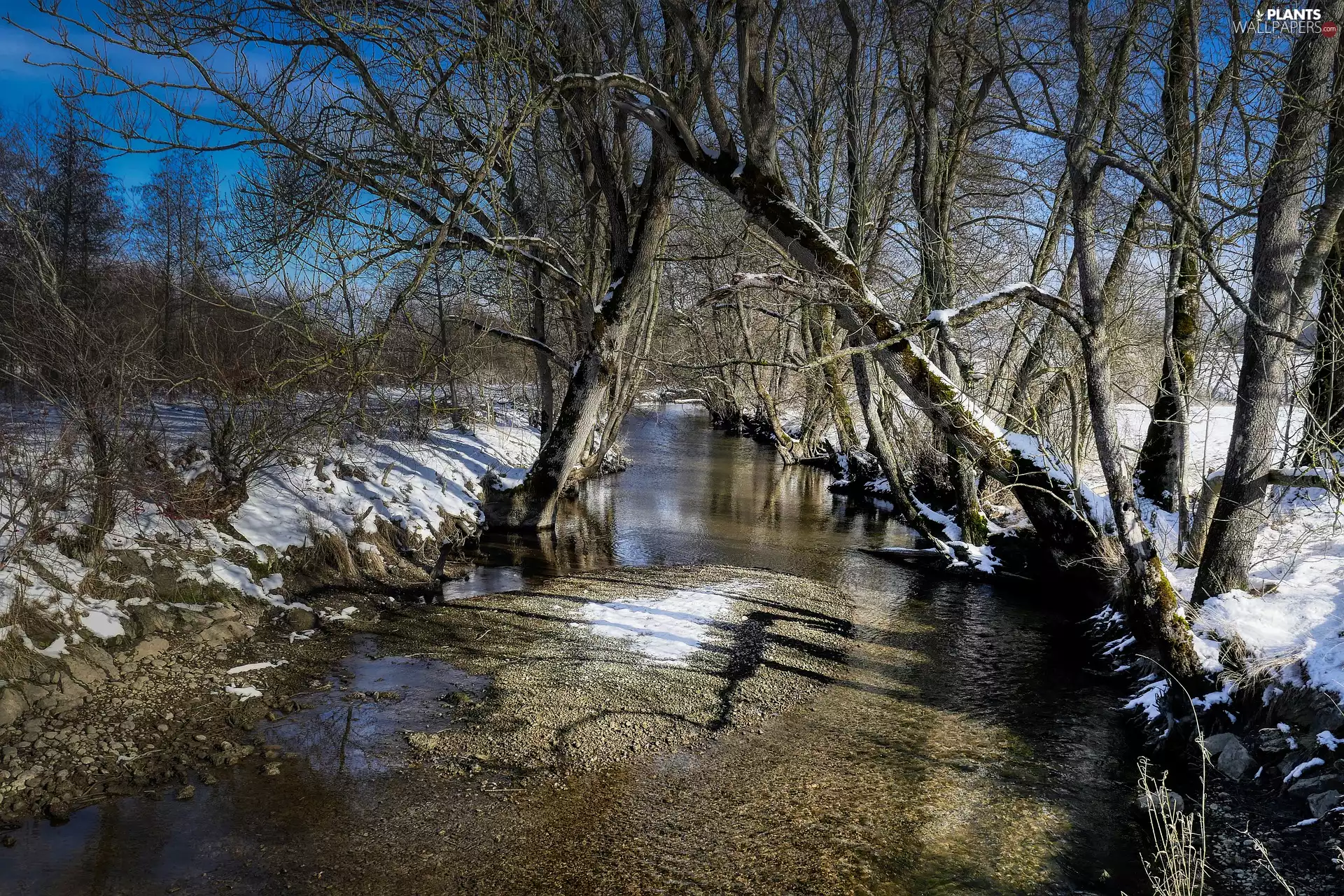 viewes, winter, River, snow, Bush, trees