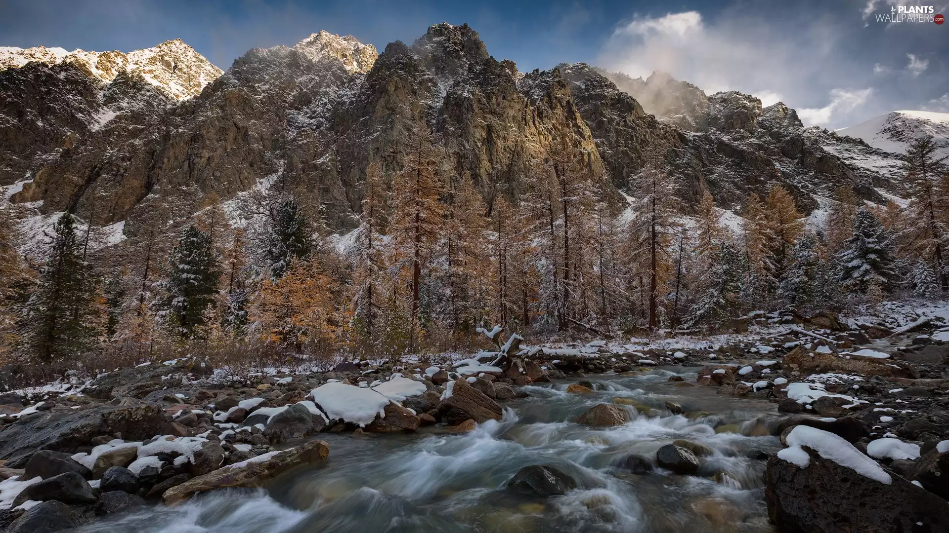 viewes, Mountains, stream, snow, Stones, trees