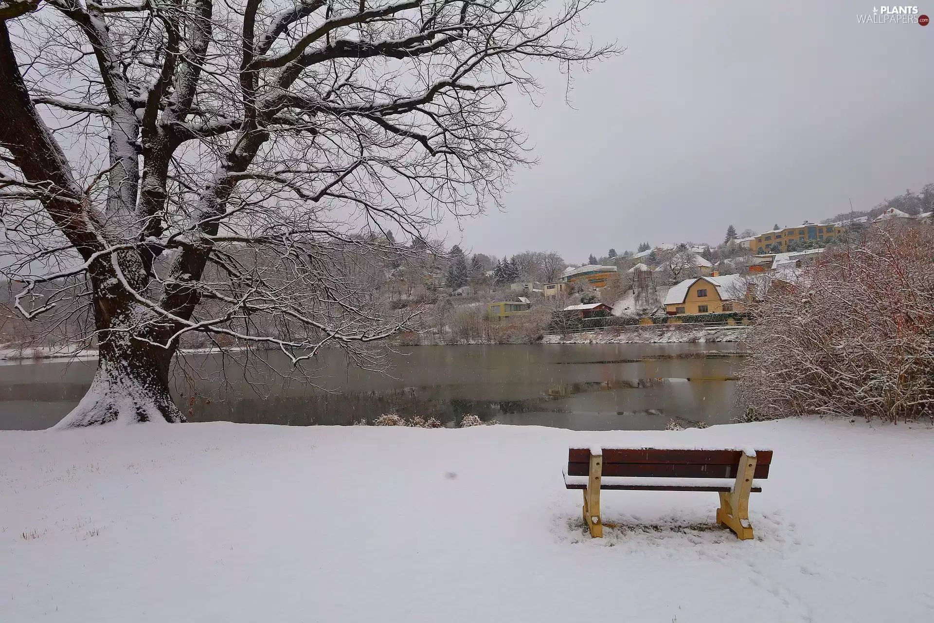 lake, snow, trees, Bench, winter