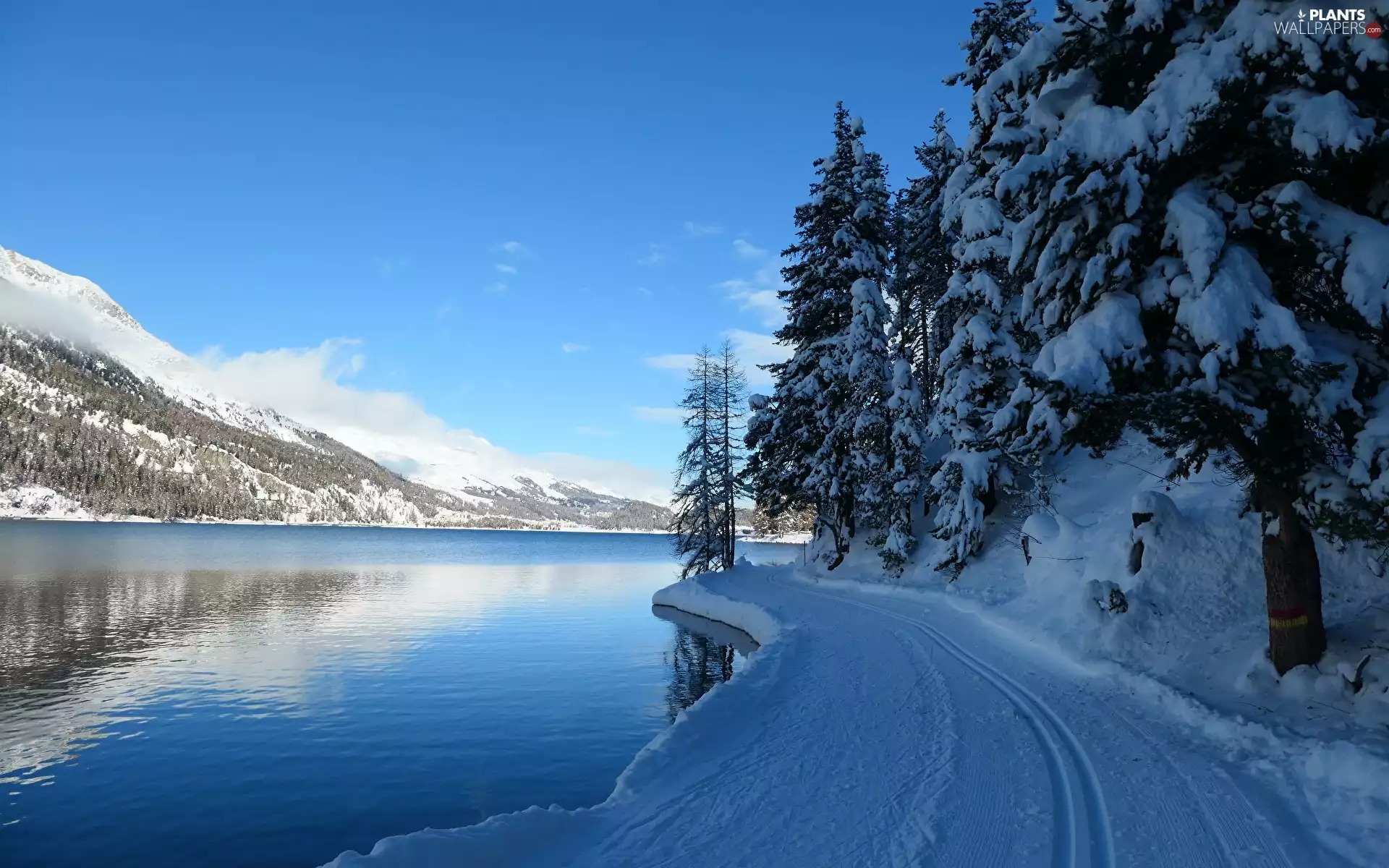 Mountains, winter, trees, snow, lake, Way, viewes