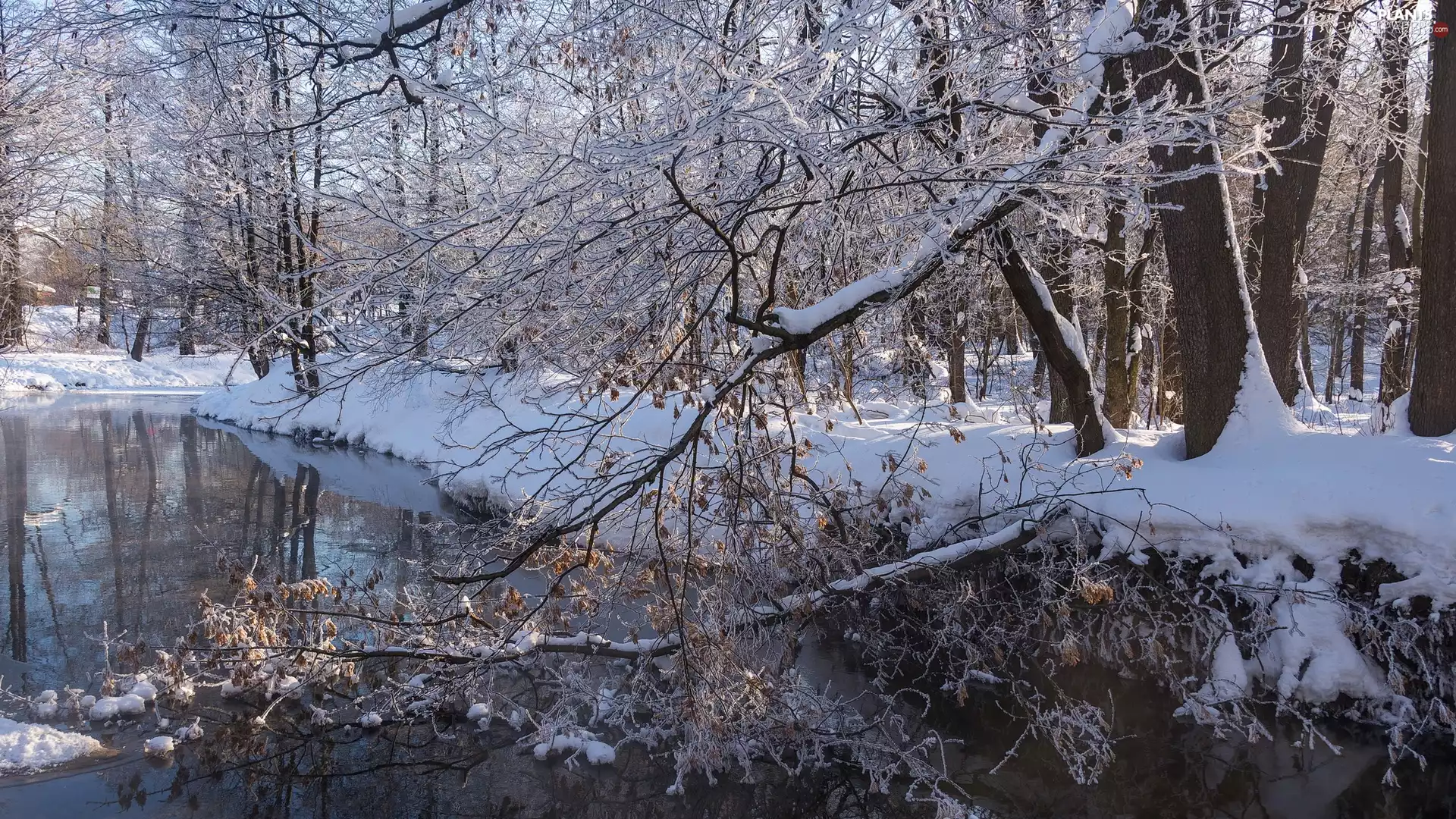 River, snow, trees, viewes, winter