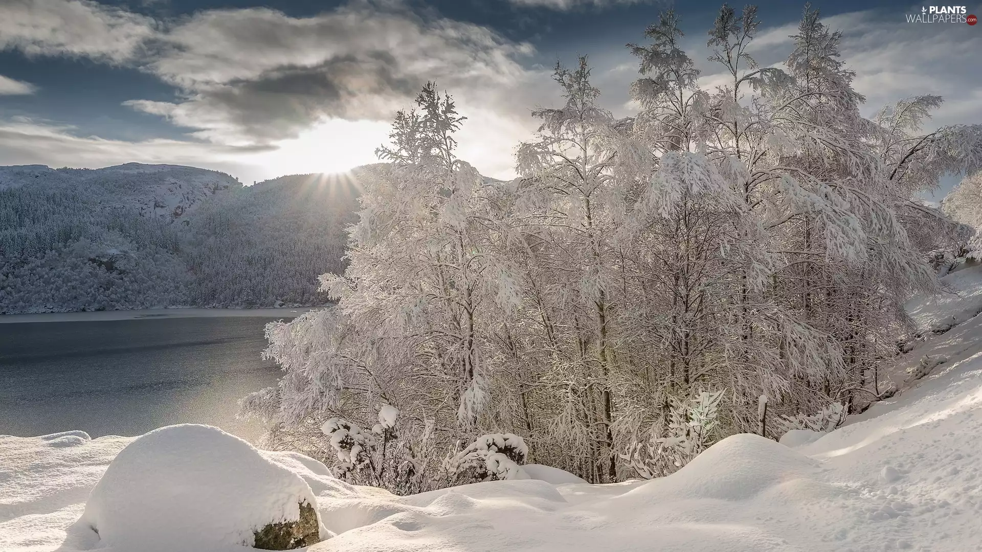 Snowy, Mountains, viewes, snow, winter, trees, lake