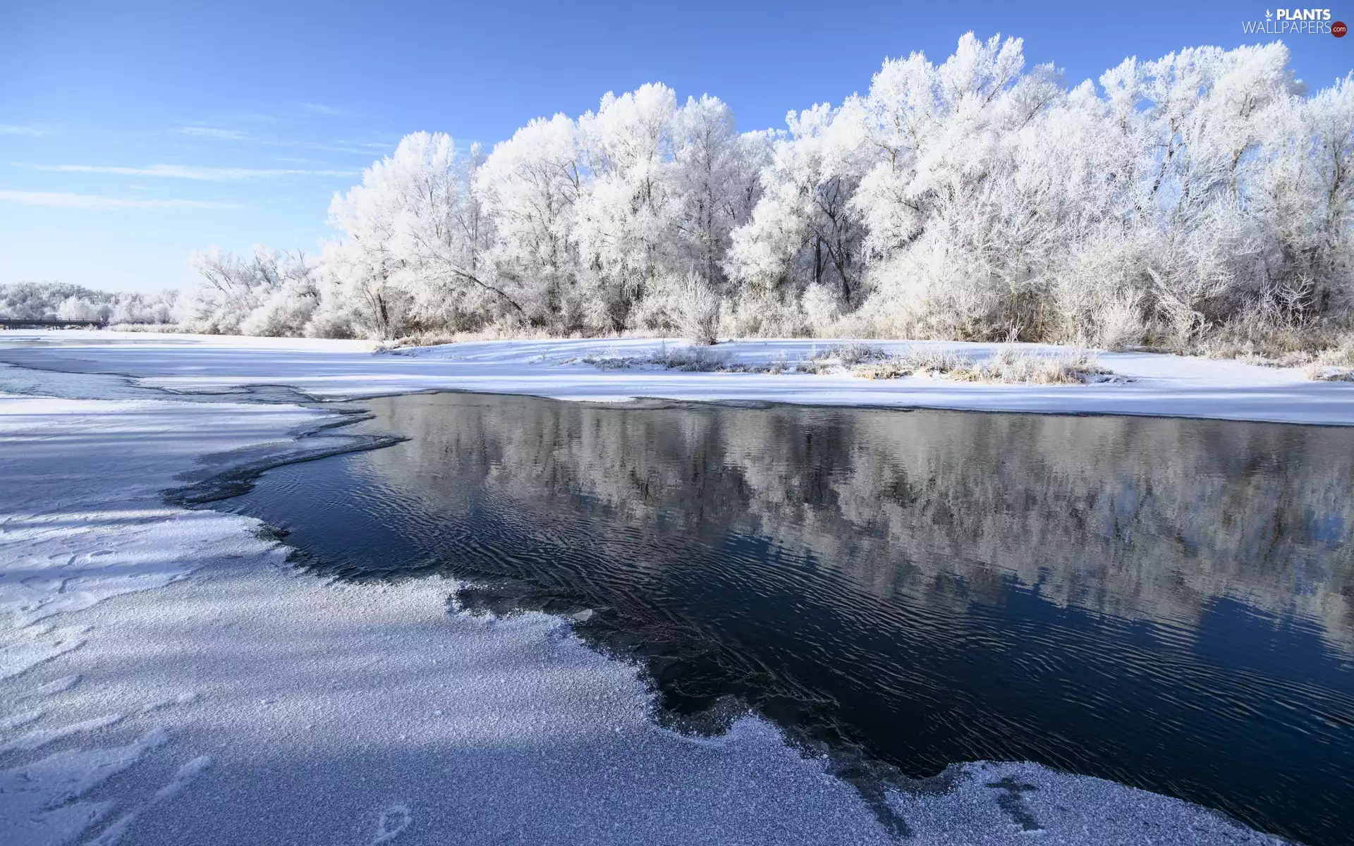 frosty, River, viewes, snow, winter, trees, Sky