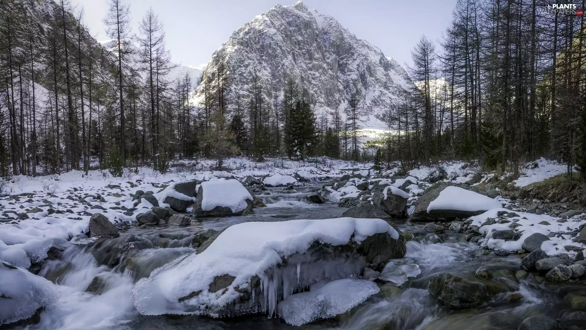 Mountains, River, viewes, Stones, trees, Snowy, winter, snow
