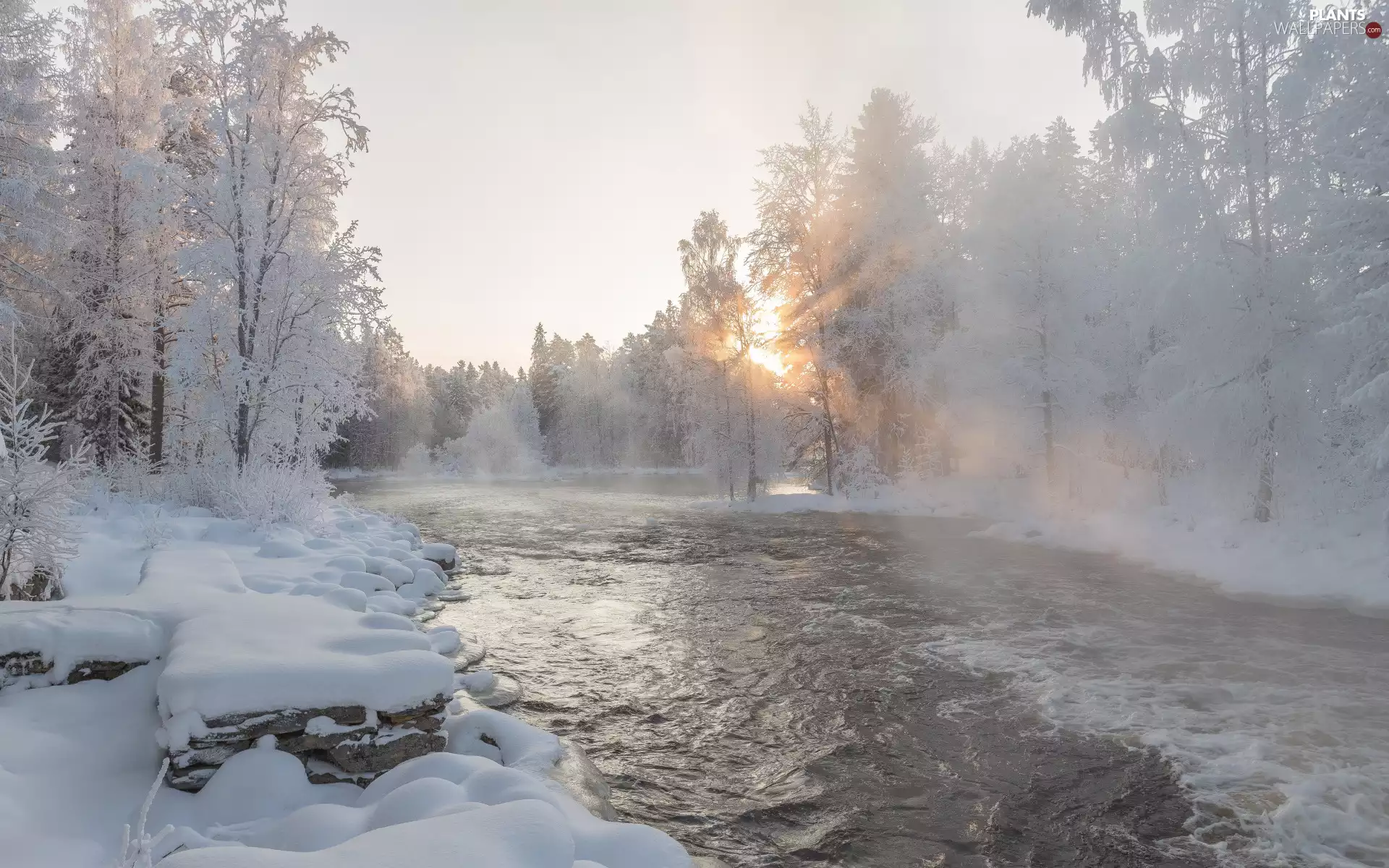 snow, winter, River, Snowy, Fog, Sunrise, viewes, Stones, trees