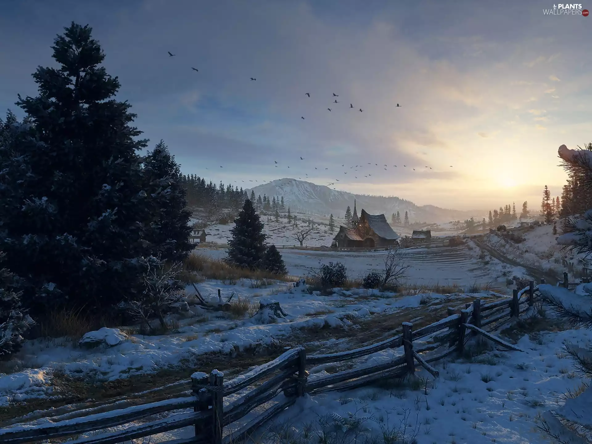 birds, snow, viewes, fence, trees