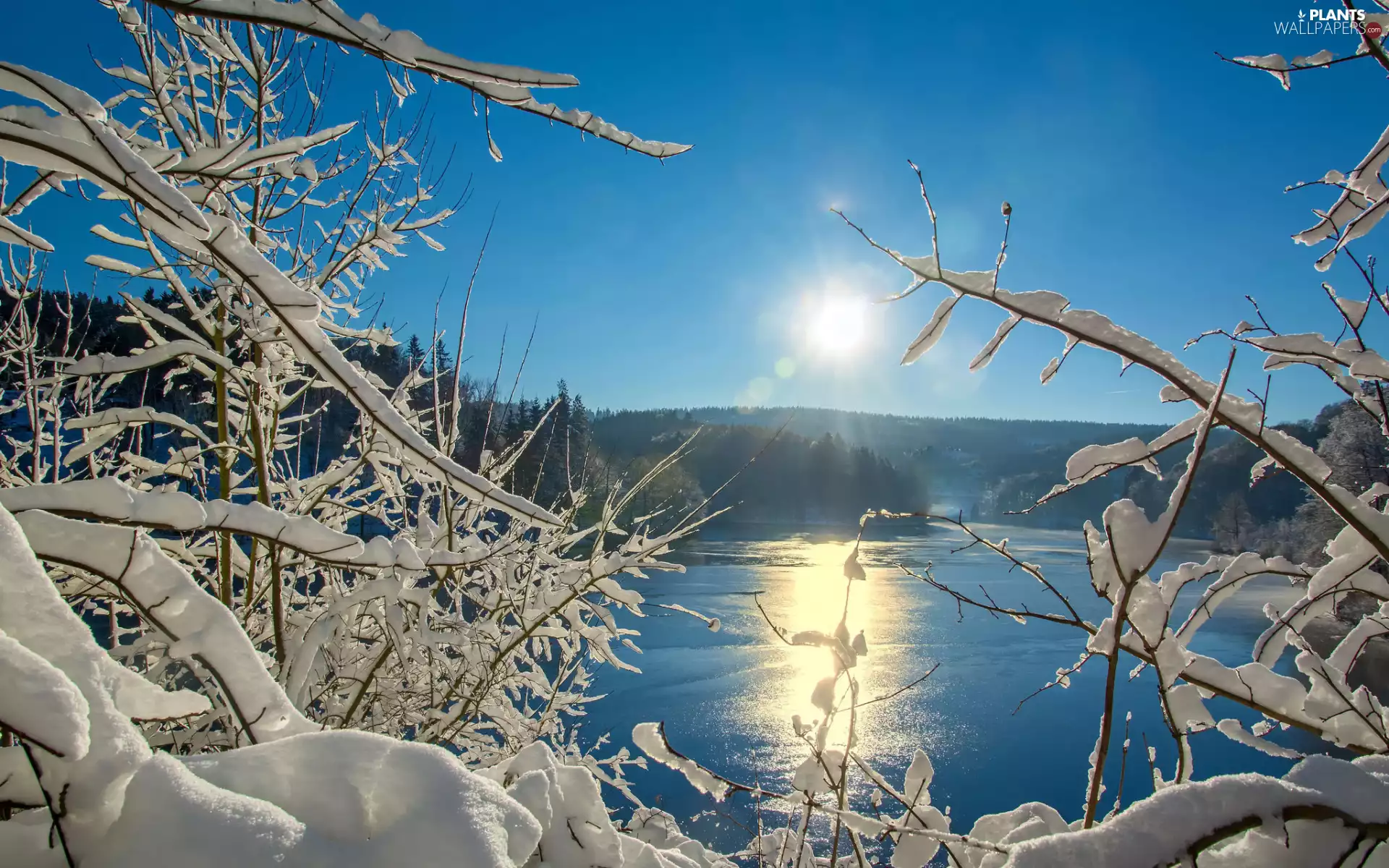 Snowy, winter, trees, viewes, Sunrise, Sky, lake, Icecream, branch pics